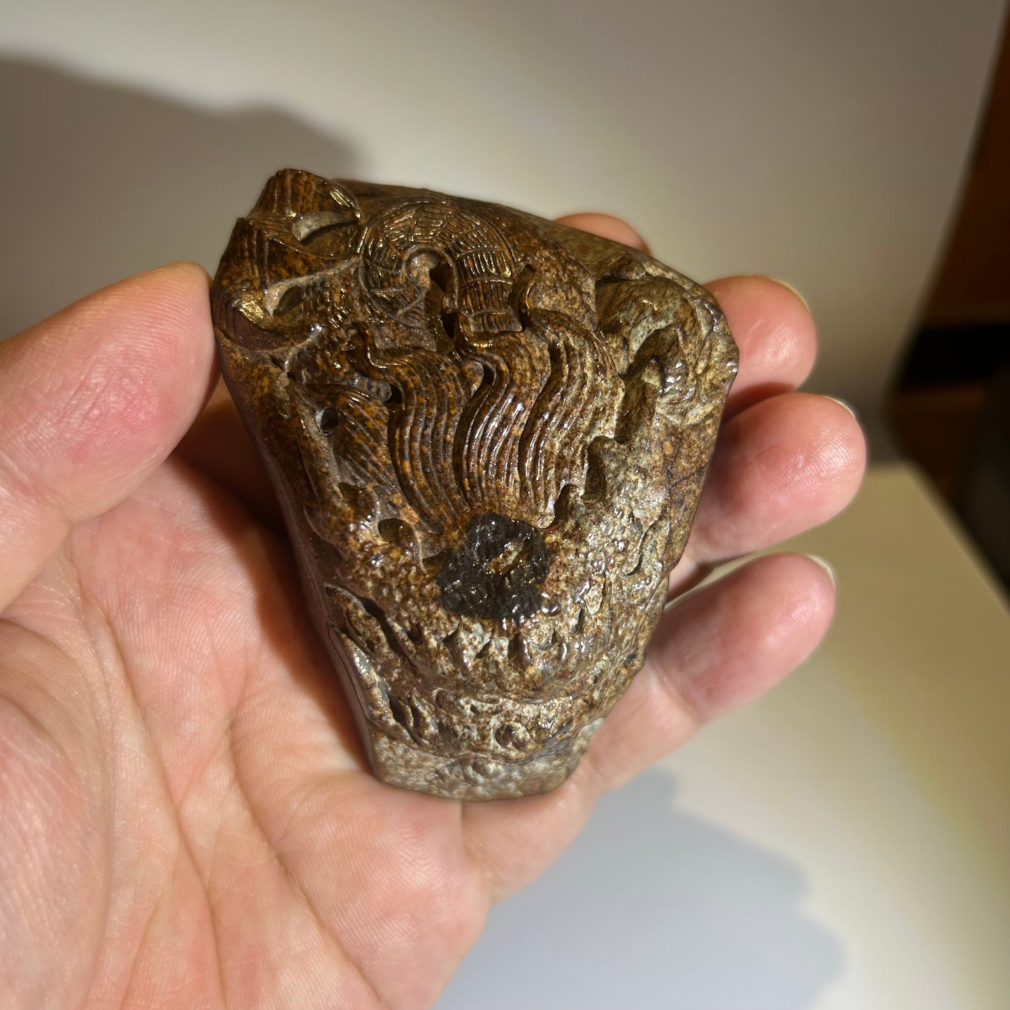 NWA 869 Chondrite Meteorite Carving — “Cosmic Beard” Eldritch-Inspired Sculpture | Cthulhu gift(390g)