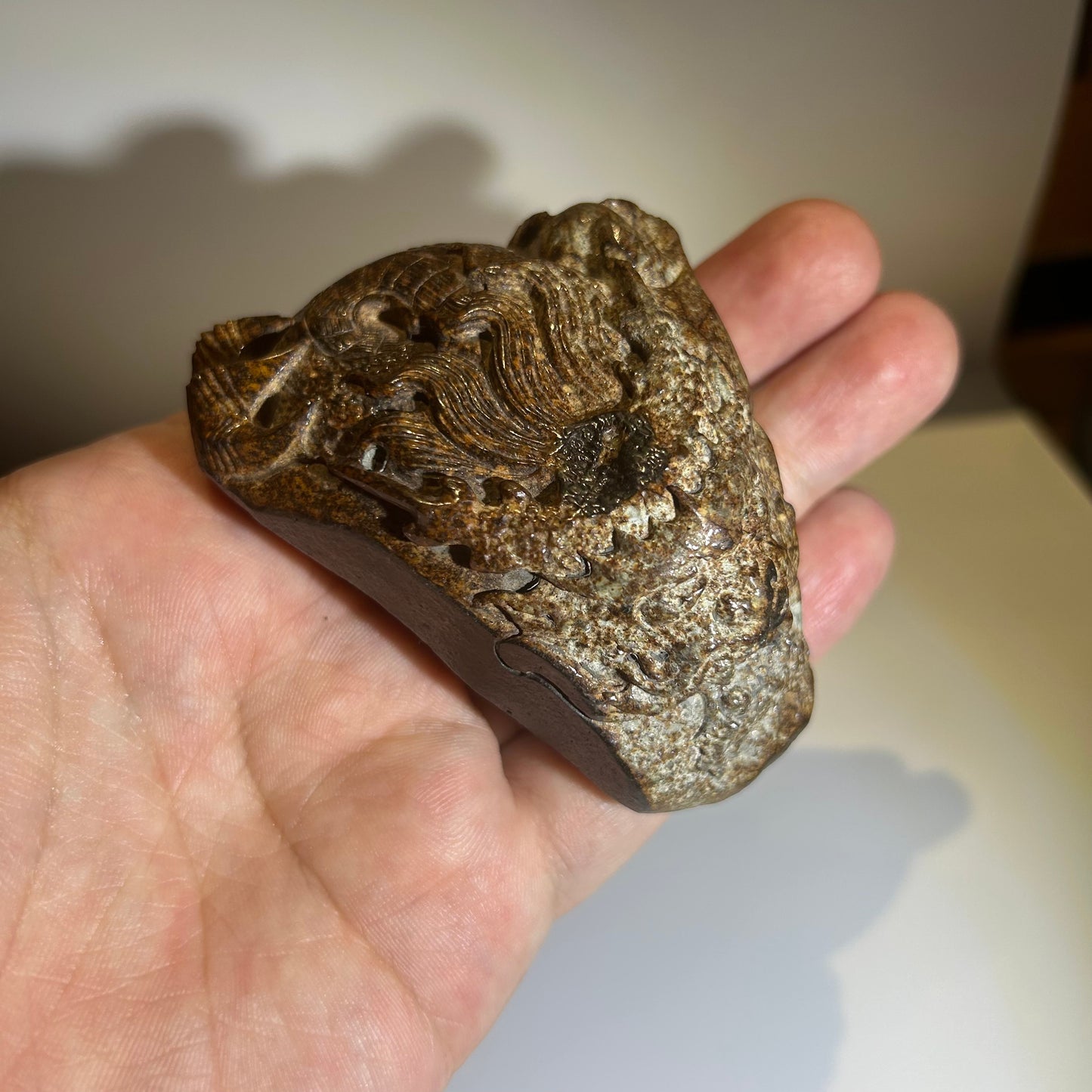 NWA 869 Chondrite Meteorite Carving — “Cosmic Beard” Eldritch-Inspired Sculpture | Cthulhu gift(390g)