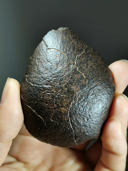 NWA Typical Oriented Meteorite/Rare Oriented Meteorite with Flow Lines – 128g Museum Class Collectible Specimen