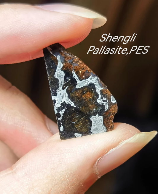 Rare Eagle Station Heihe Shengli Pallasite Slice – Nickel-Iron Matrix with Olivine