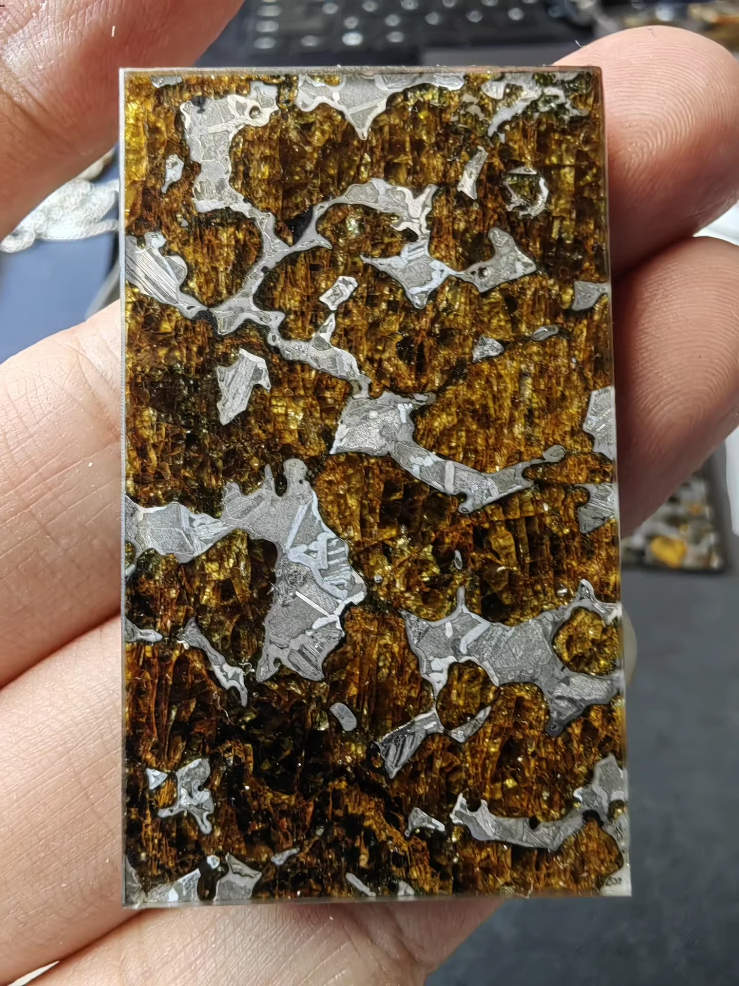 Rare Eagle Station Heihe Shengli Pallasite Slice –40*60*4mm – Nickel-Iron Matrix with Olivine