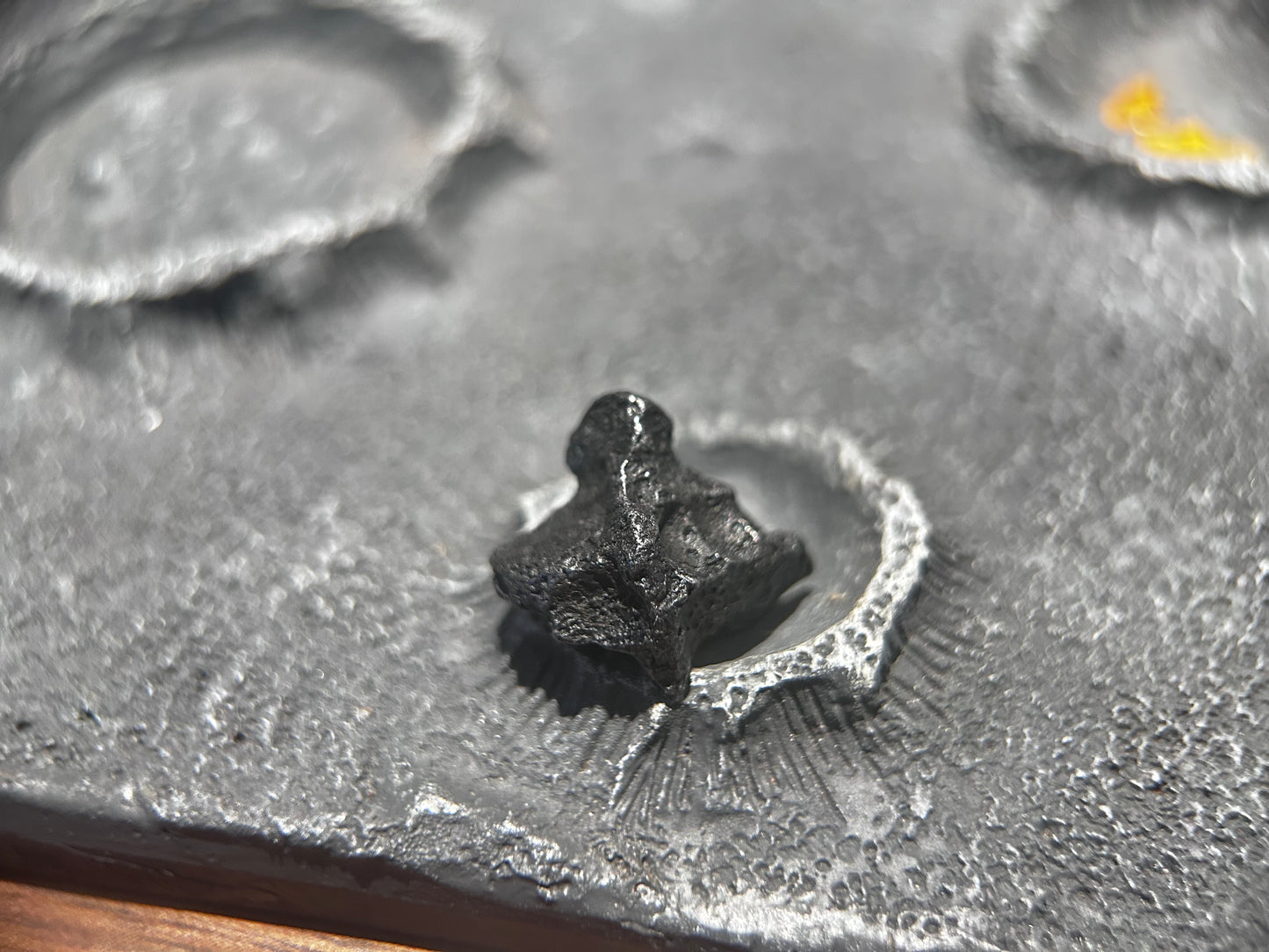Sikhote Alin Iron Meteorite/ Classic Meteorite/Alin Meteorite/Alin meteorite specimen/iron meteorite (Copy)
