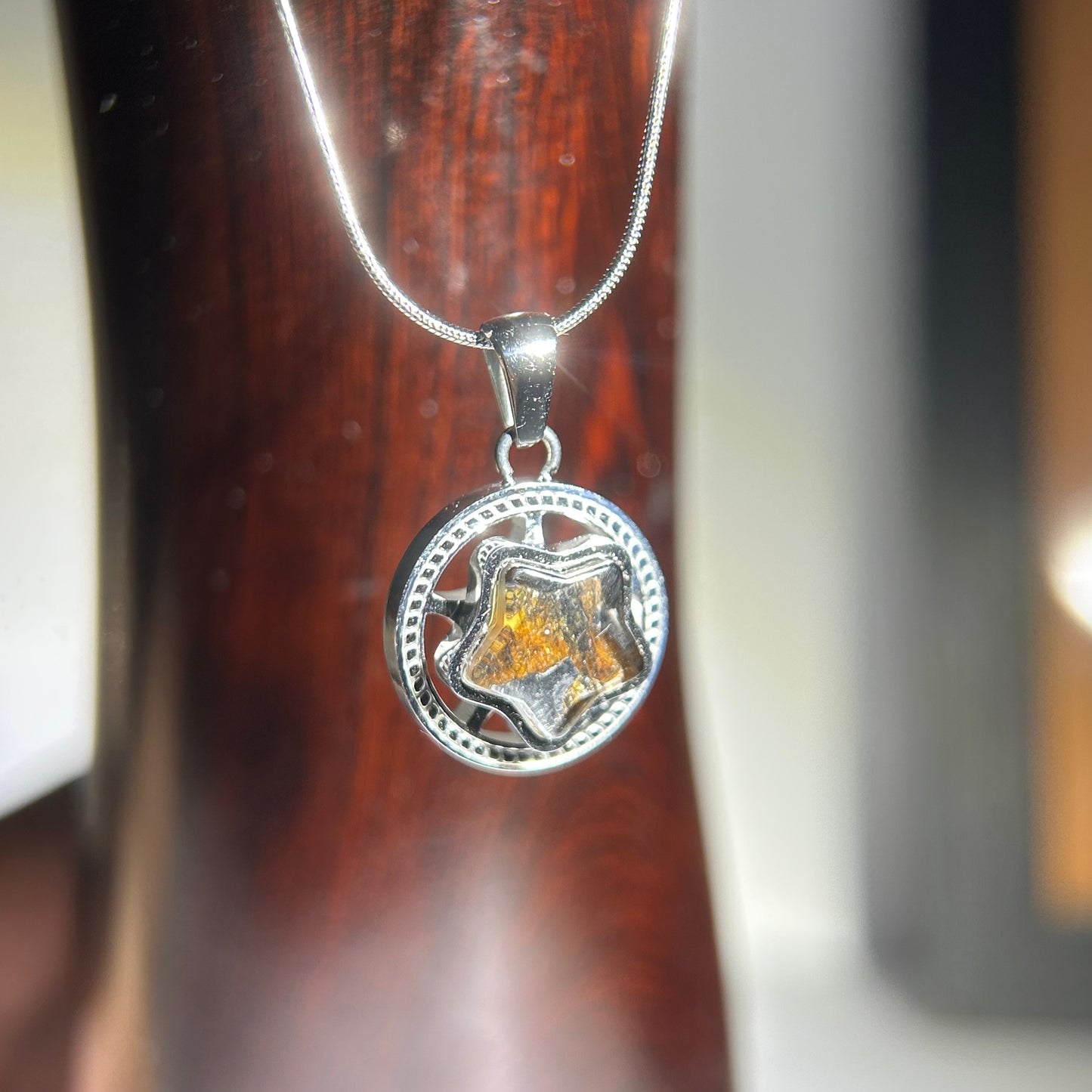 Spinning Star Kenya Sericho Pallasite Meteorite Necklace