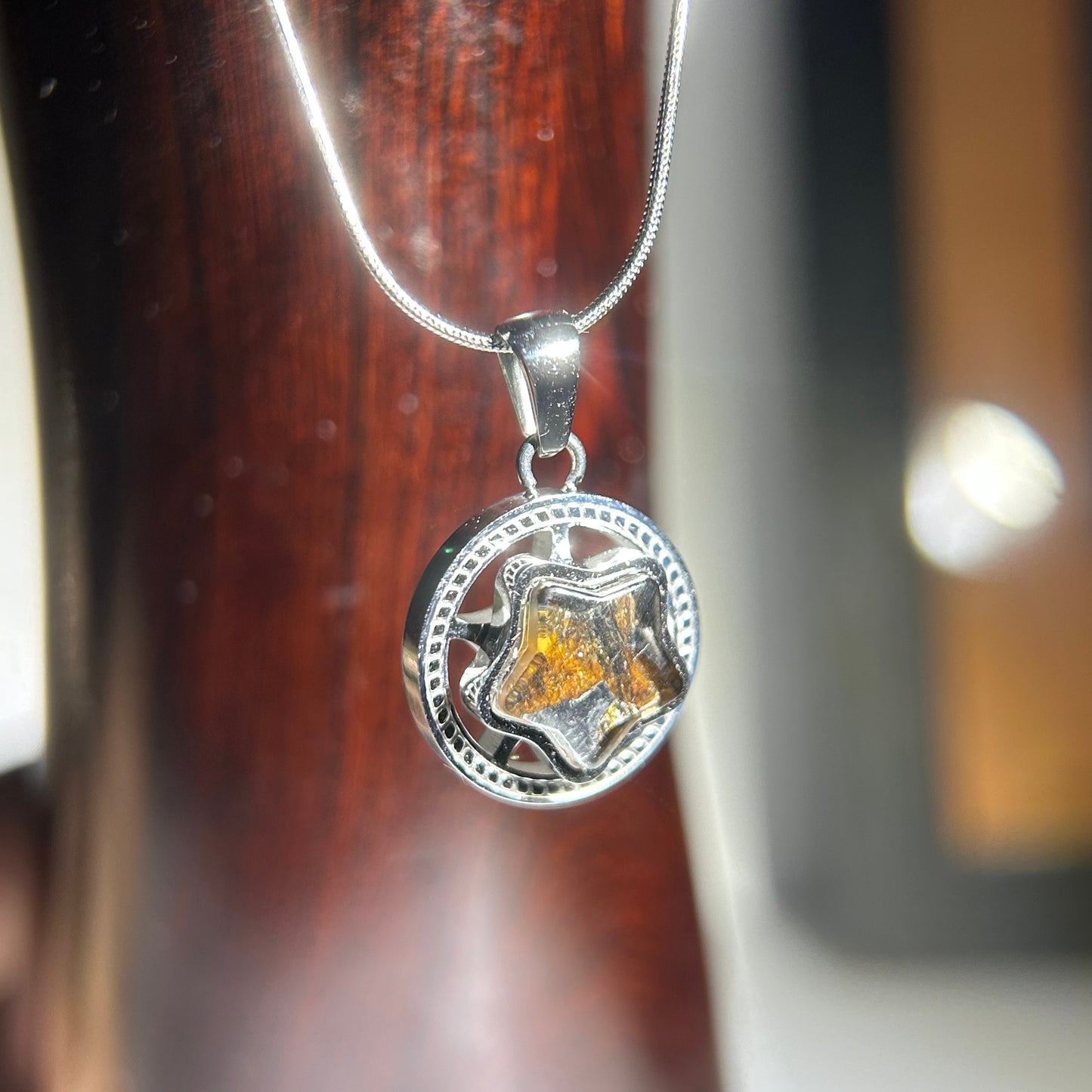 Spinning Star Kenya Sericho Pallasite Meteorite Necklace