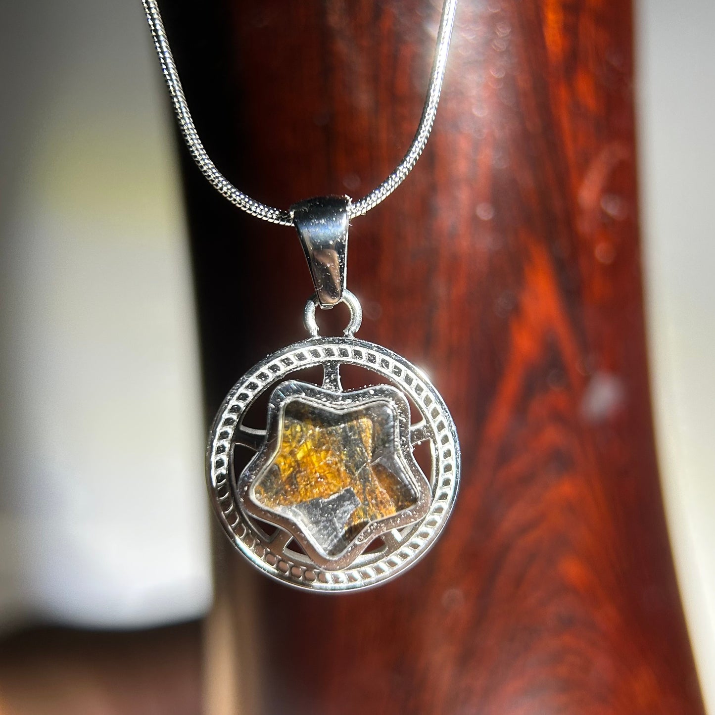 Spinning Star Kenya Sericho Pallasite Meteorite Necklace