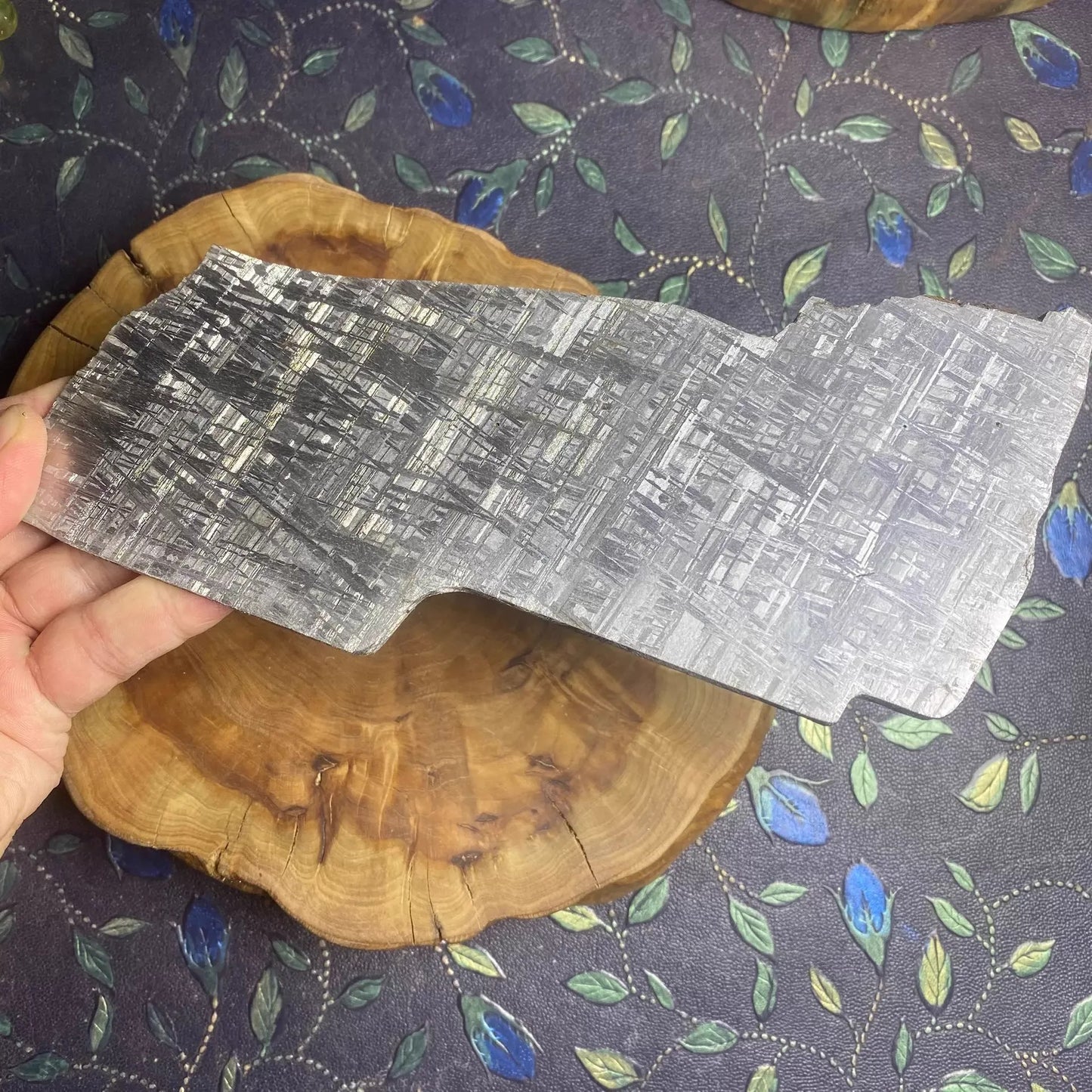 The Best Etched Muonionalusta meteorite/Meteorite Specimen/Meteorite Slice/Meteorite Chip/Meteorite Fragment