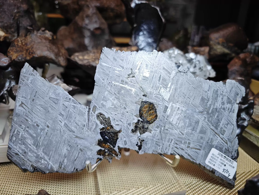 Last Known Aletai Pallasite Slice (“Allah’s Tear”) — 510g Polished Meteorite with Gem-Quality Olivine | Museum-Grade
