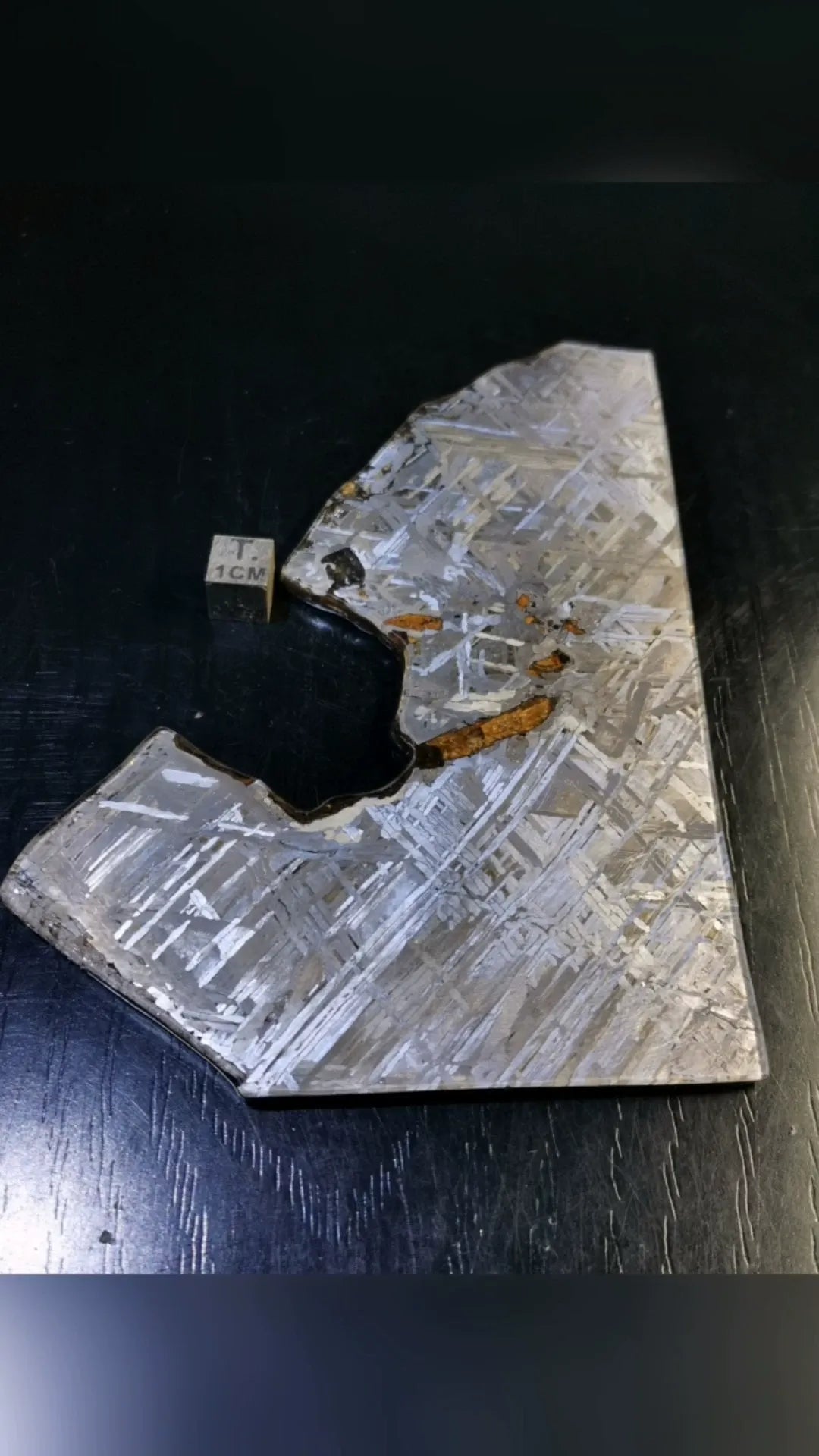 Last Remaining Aletai Pallasite Meteorite Slice – 197g Ultra Rare Collectible