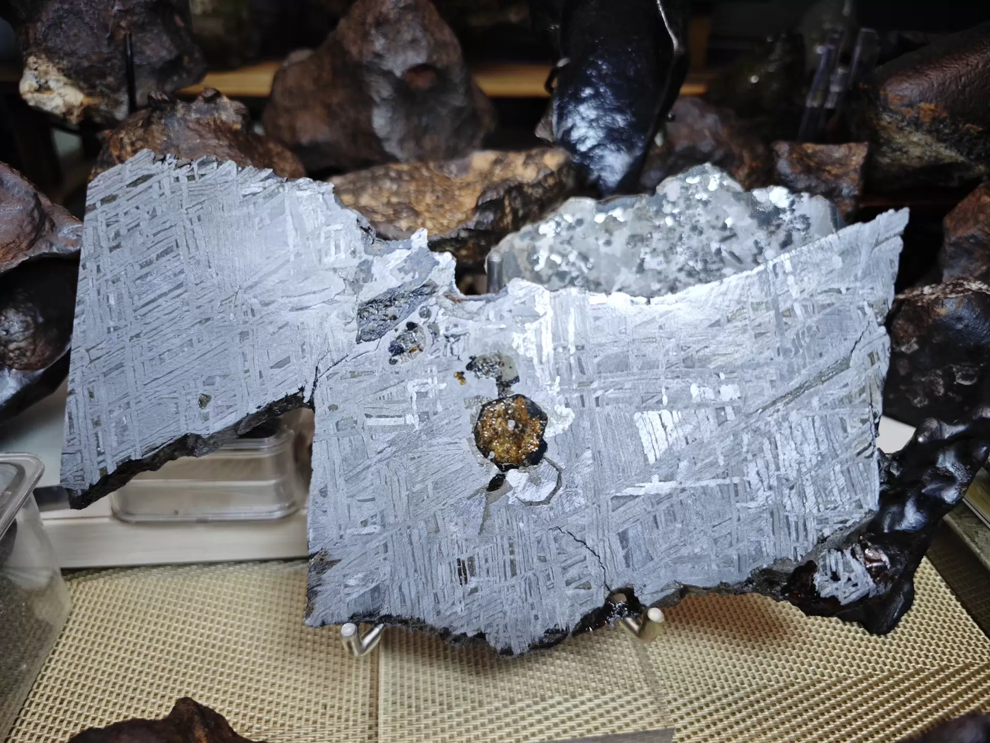 Last Known Aletai Pallasite Slice (“Allah’s Tear”) — 510g Polished Meteorite with Gem-Quality Olivine | Museum-Grade