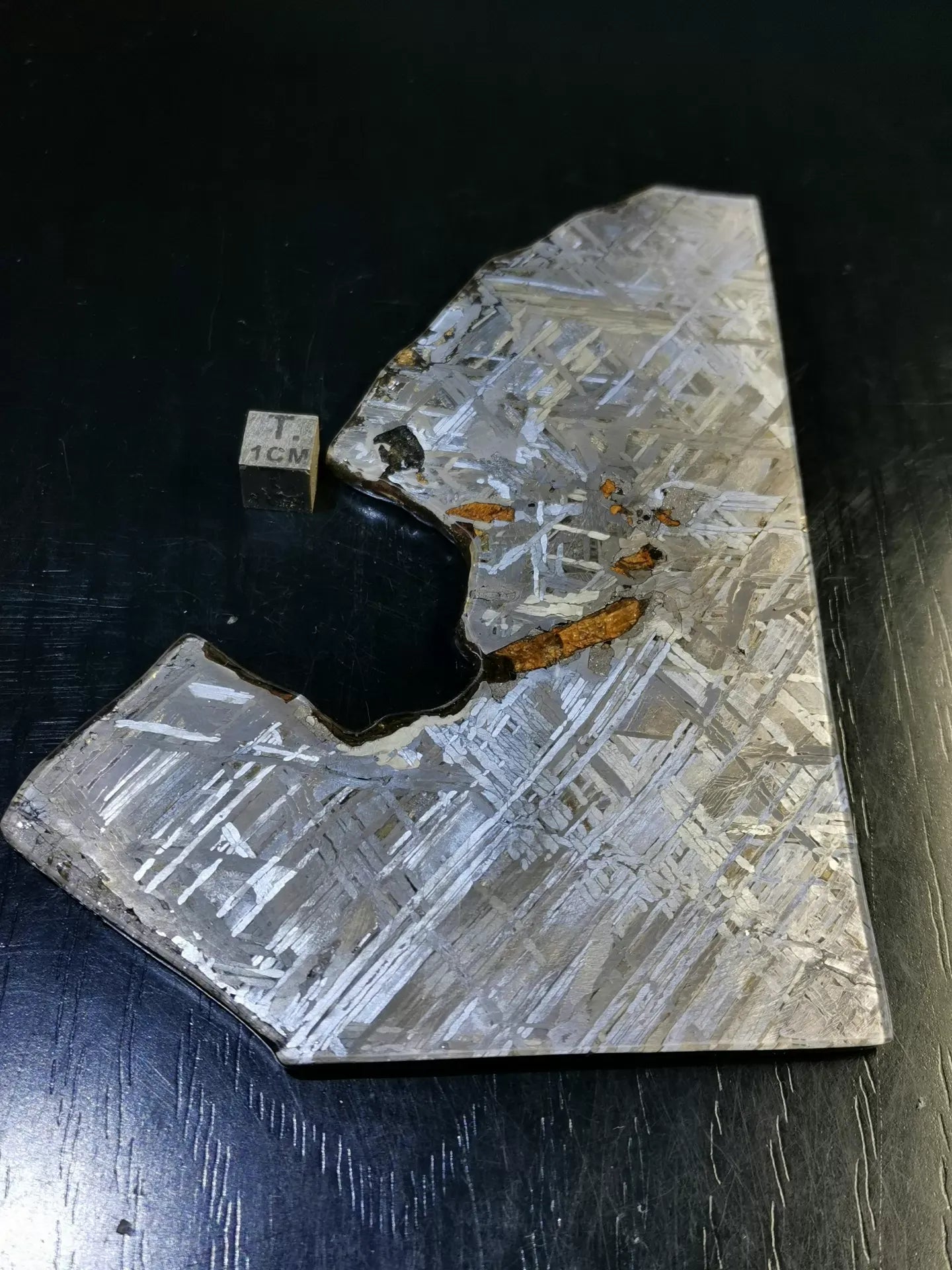 Last Remaining Aletai Pallasite Meteorite Slice – 197g Ultra Rare Collectible