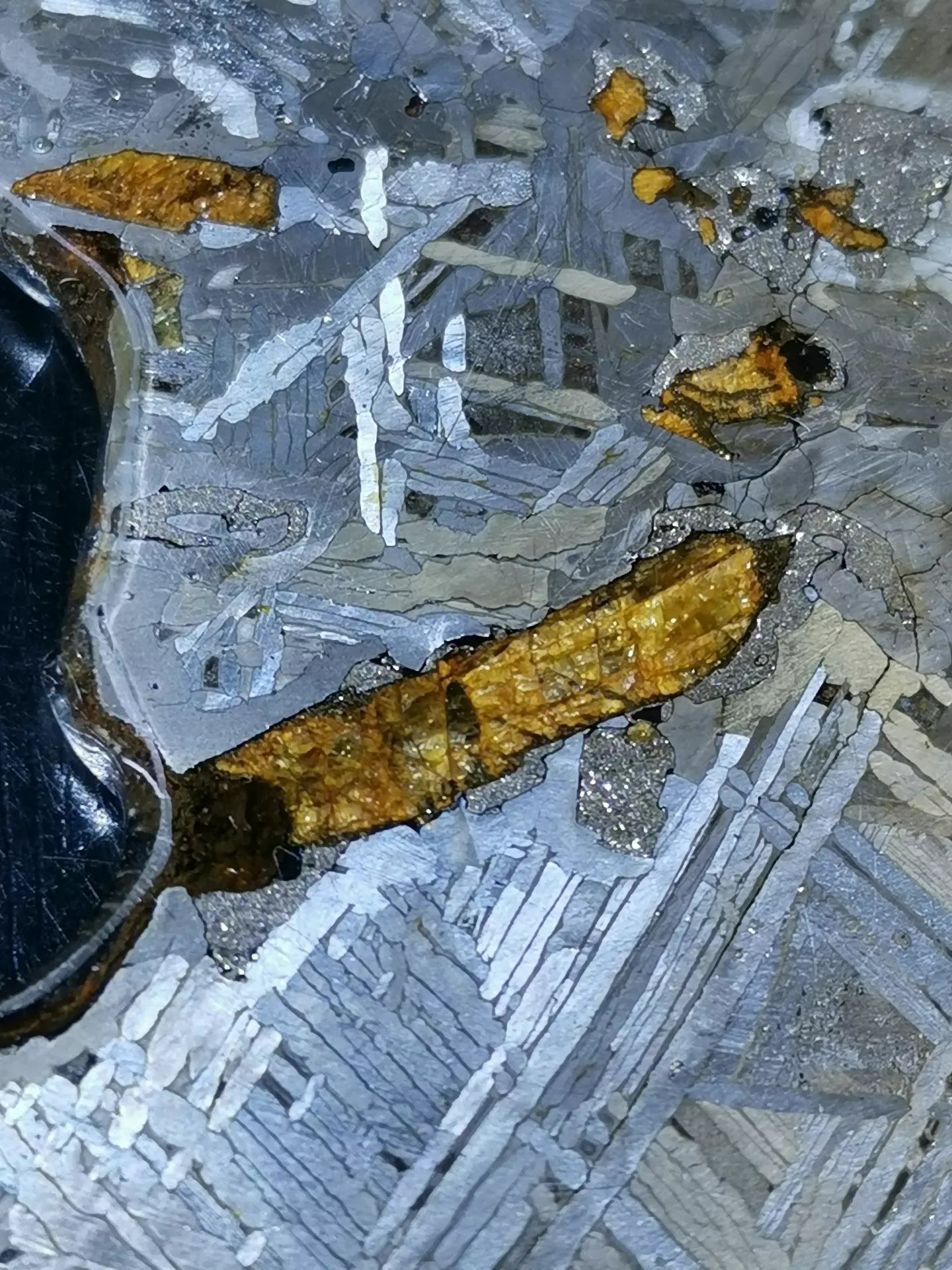 Last Remaining Aletai Pallasite Meteorite Slice – 197g Ultra Rare Collectible