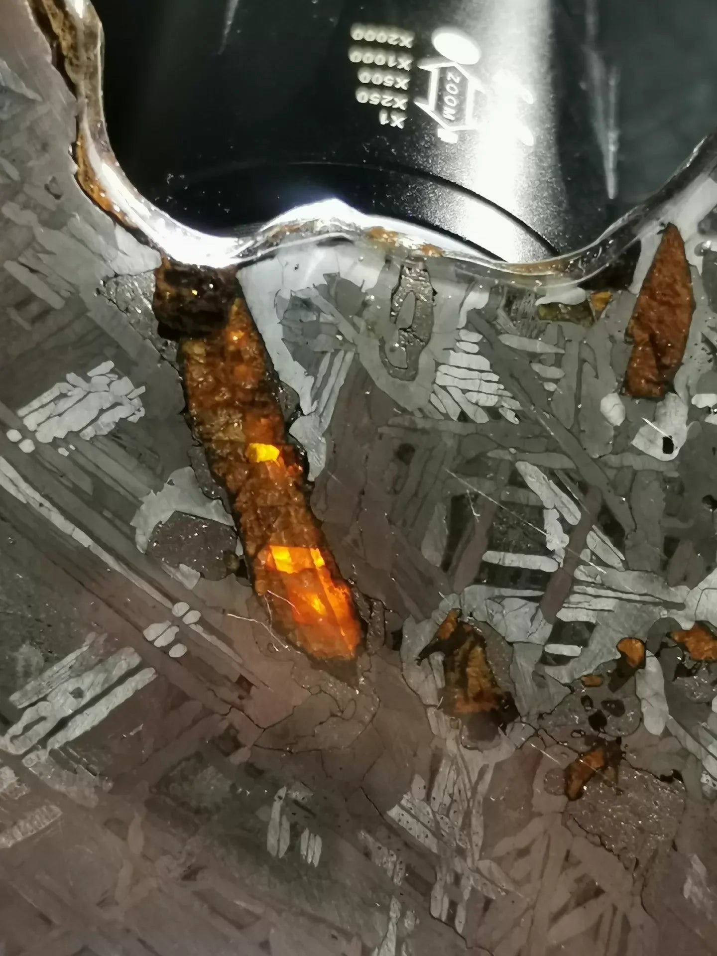 Last Remaining Aletai Pallasite Meteorite Slice – 197g Ultra Rare Collectible