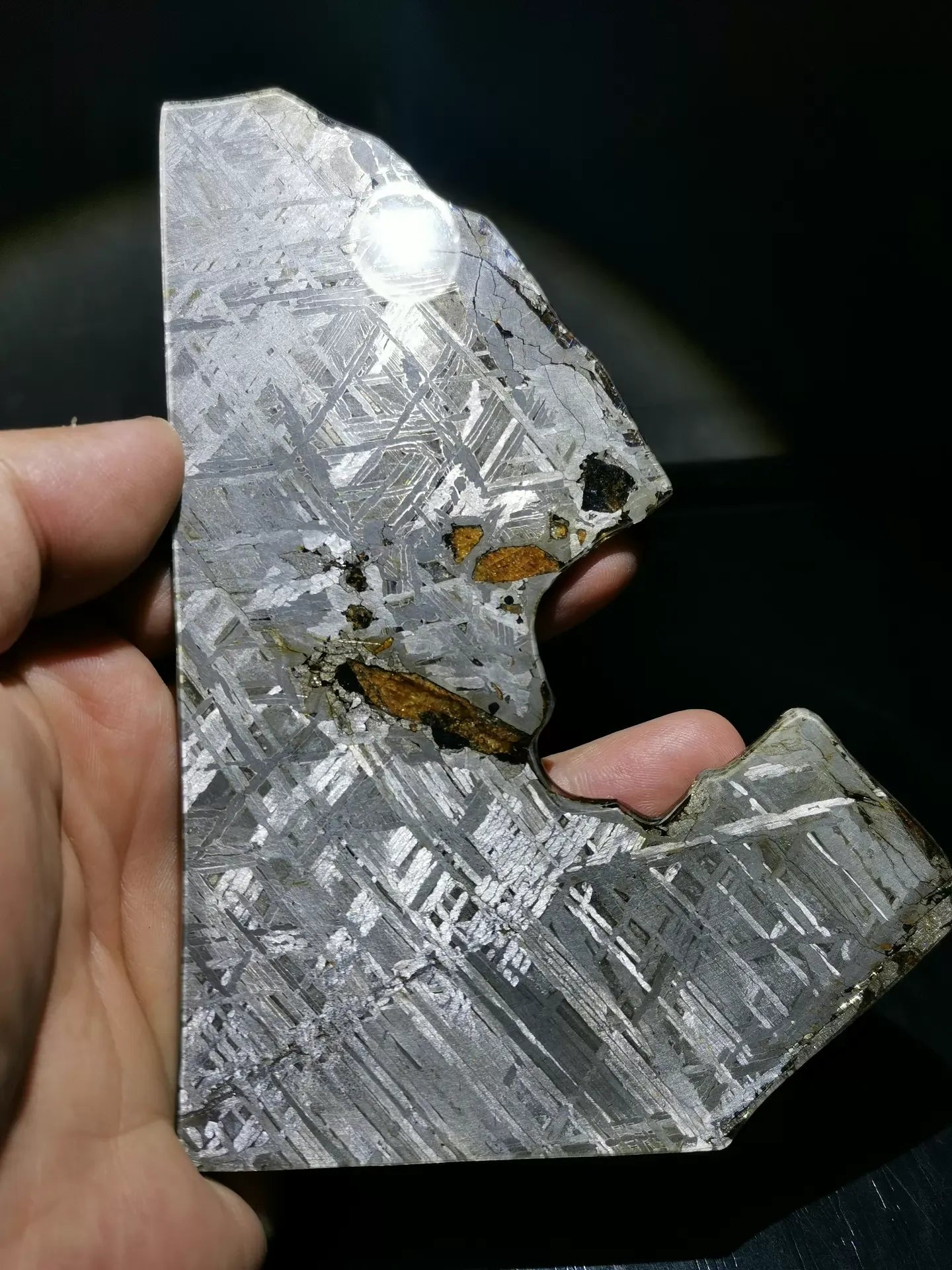 Last Remaining Aletai Pallasite Meteorite Slice – 197g Ultra Rare Collectible