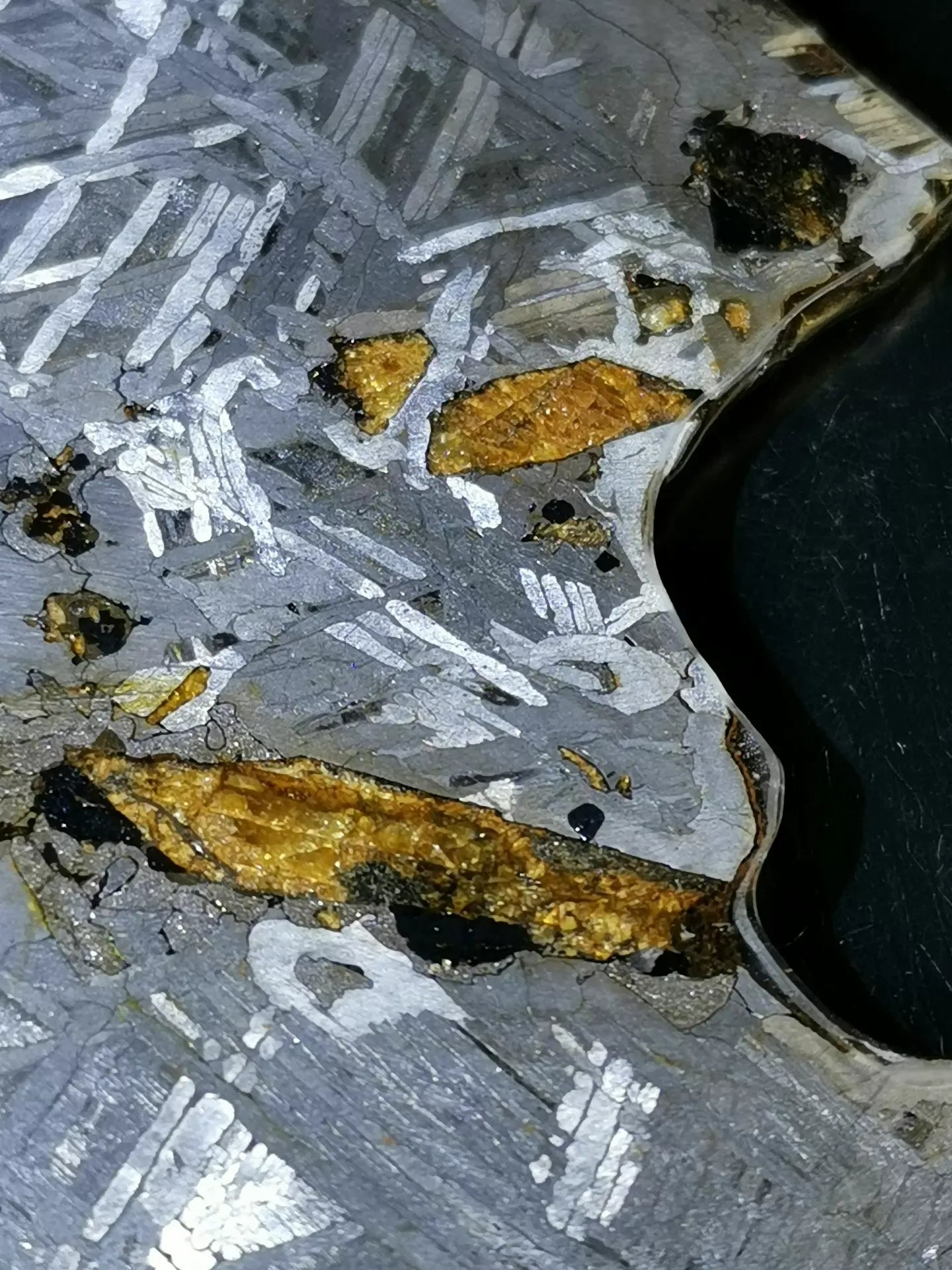 Last Remaining Aletai Pallasite Meteorite Slice – 197g Ultra Rare Collectible