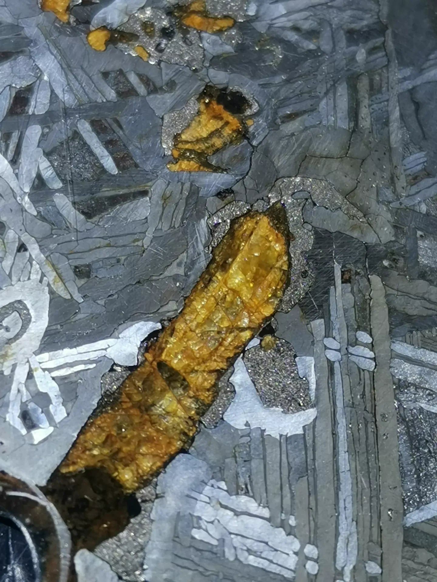 Last Remaining Aletai Pallasite Meteorite Slice – 197g Ultra Rare Collectible