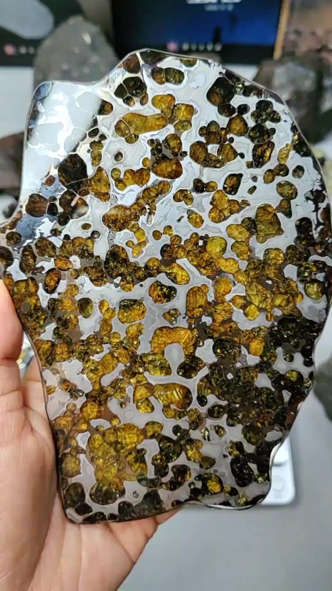 Brenham Pallasite/Meteorite Pendant/Brenham Chuck/Pallasite/Meteorite Collection 161g/191g