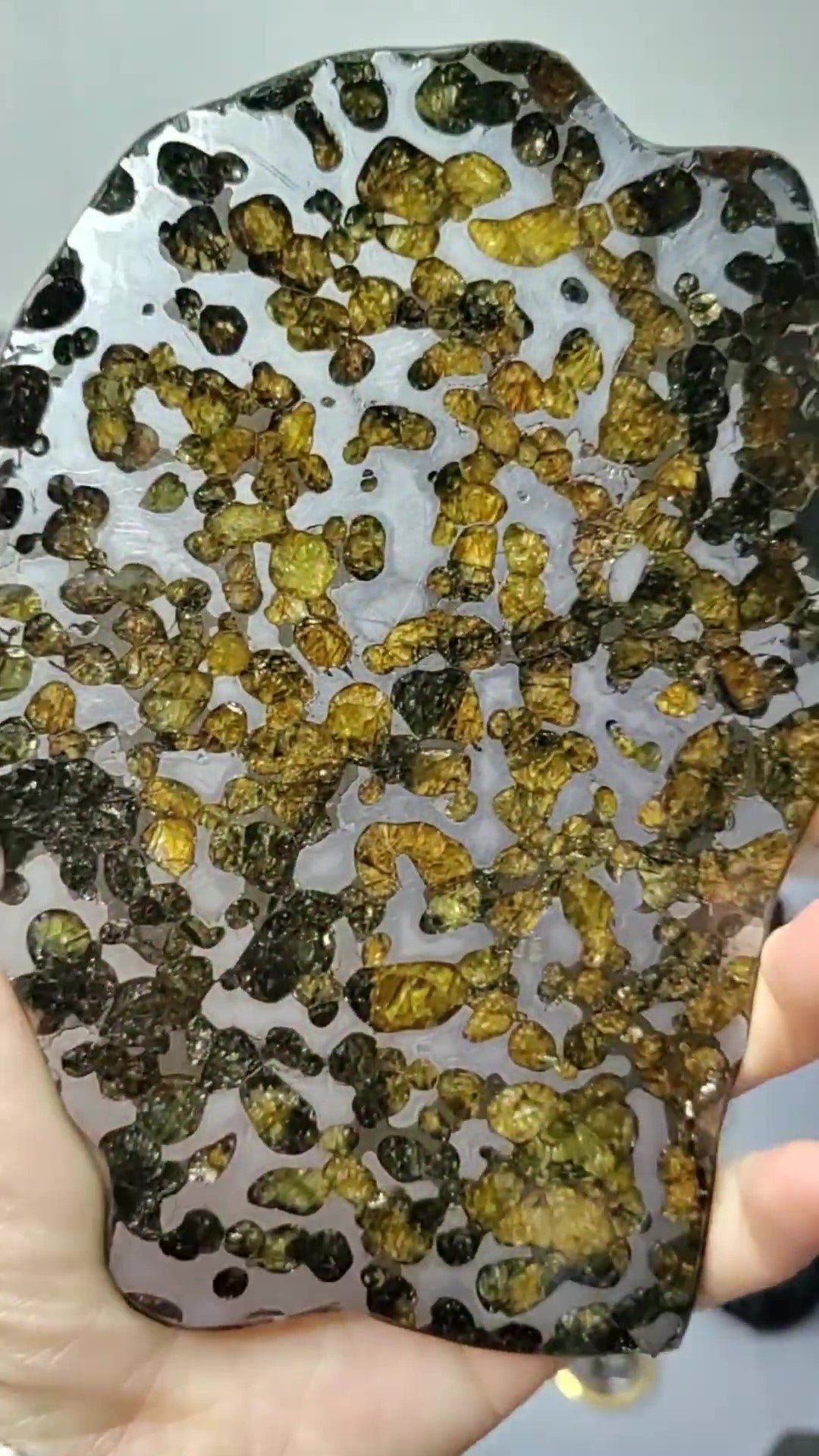 Brenham Pallasite/Meteorite Pendant/Brenham Chuck/Pallasite/Meteorite Collection 161g/191g