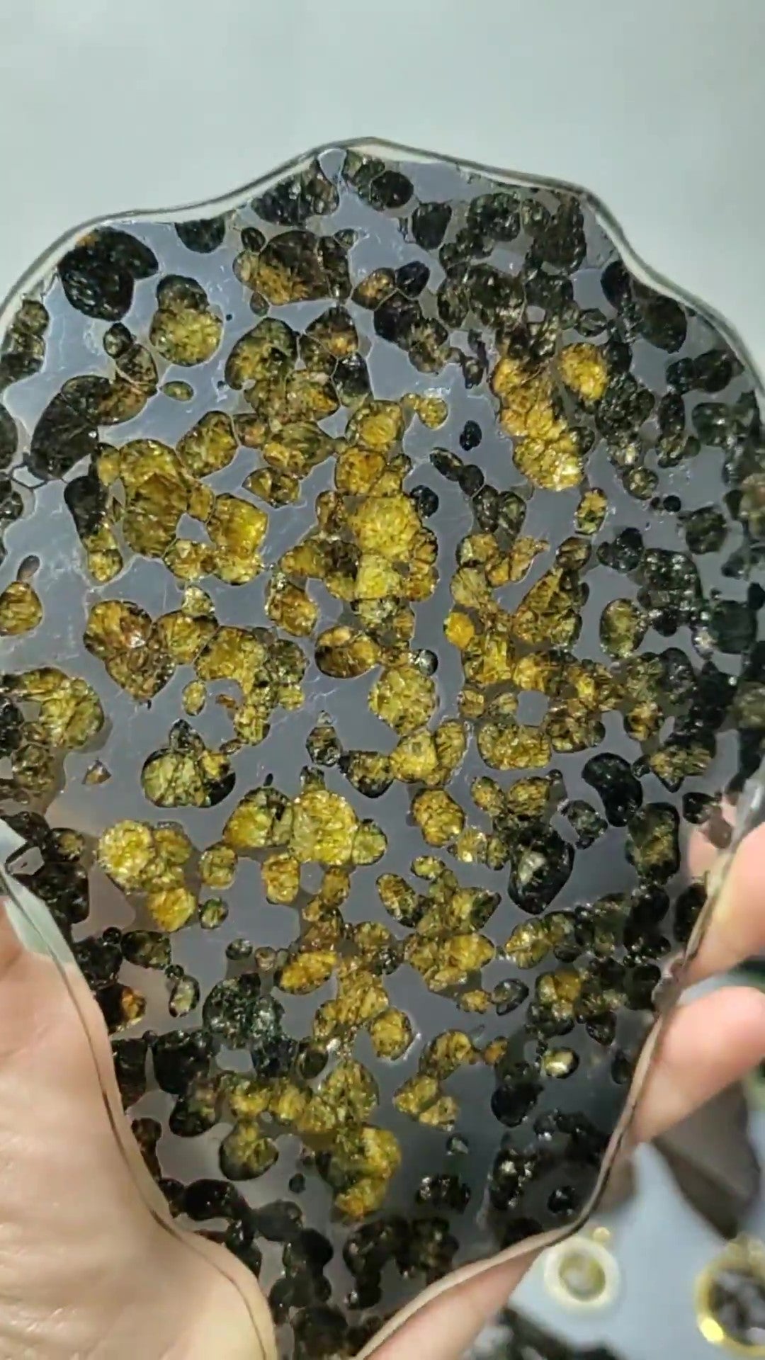 Brenham Pallasite/Meteorite Pendant/Brenham Chuck/Pallasite/Meteorite Collection 161g/191g