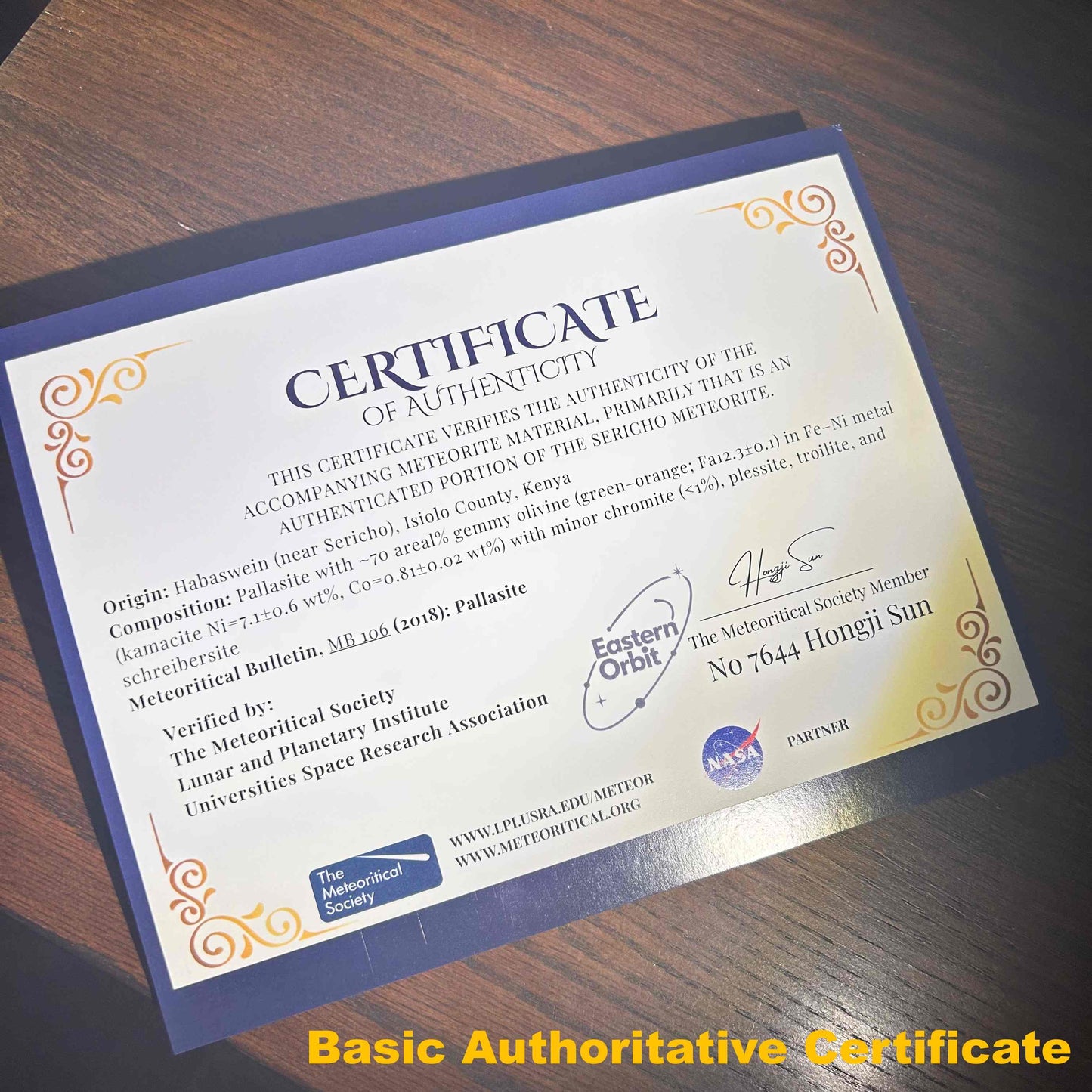 Sericho Pallasite/Meteorite Pendant/Pallasite Pendant/Pallasite/Meteorite Accessories