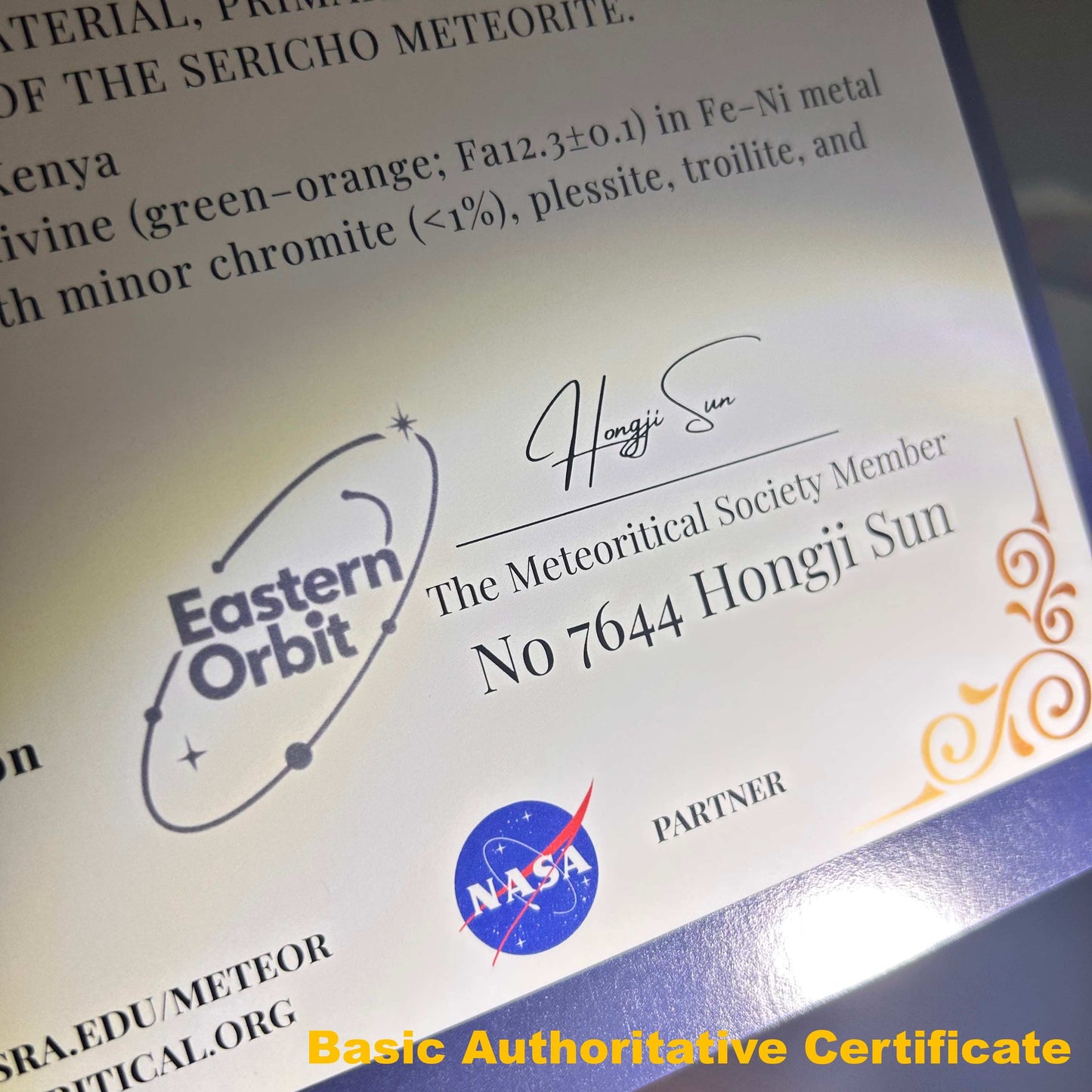 Sericho Pallasite/Meteorite Pendant/Pallasite Pendant/Pallasite/Meteorite Accessories