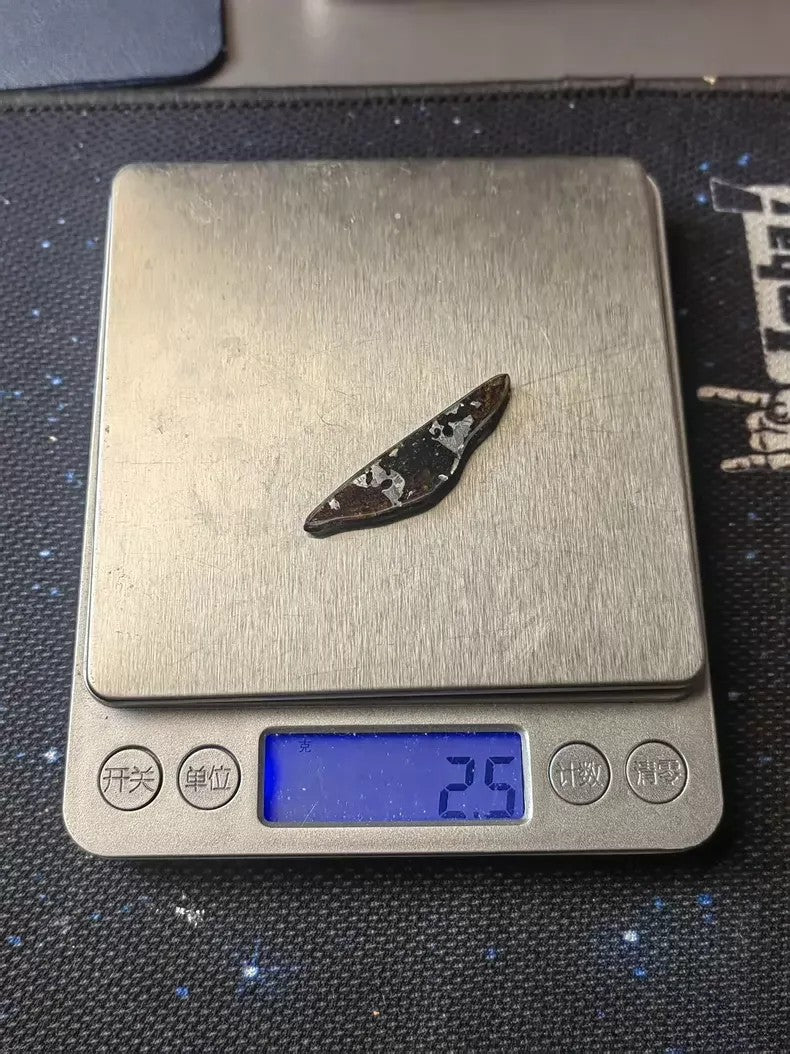 Rare Eagle Station Heihe Shengli Pallasite Slice – 42*16*4mm – Nickel-Iron Matrix with Olivine