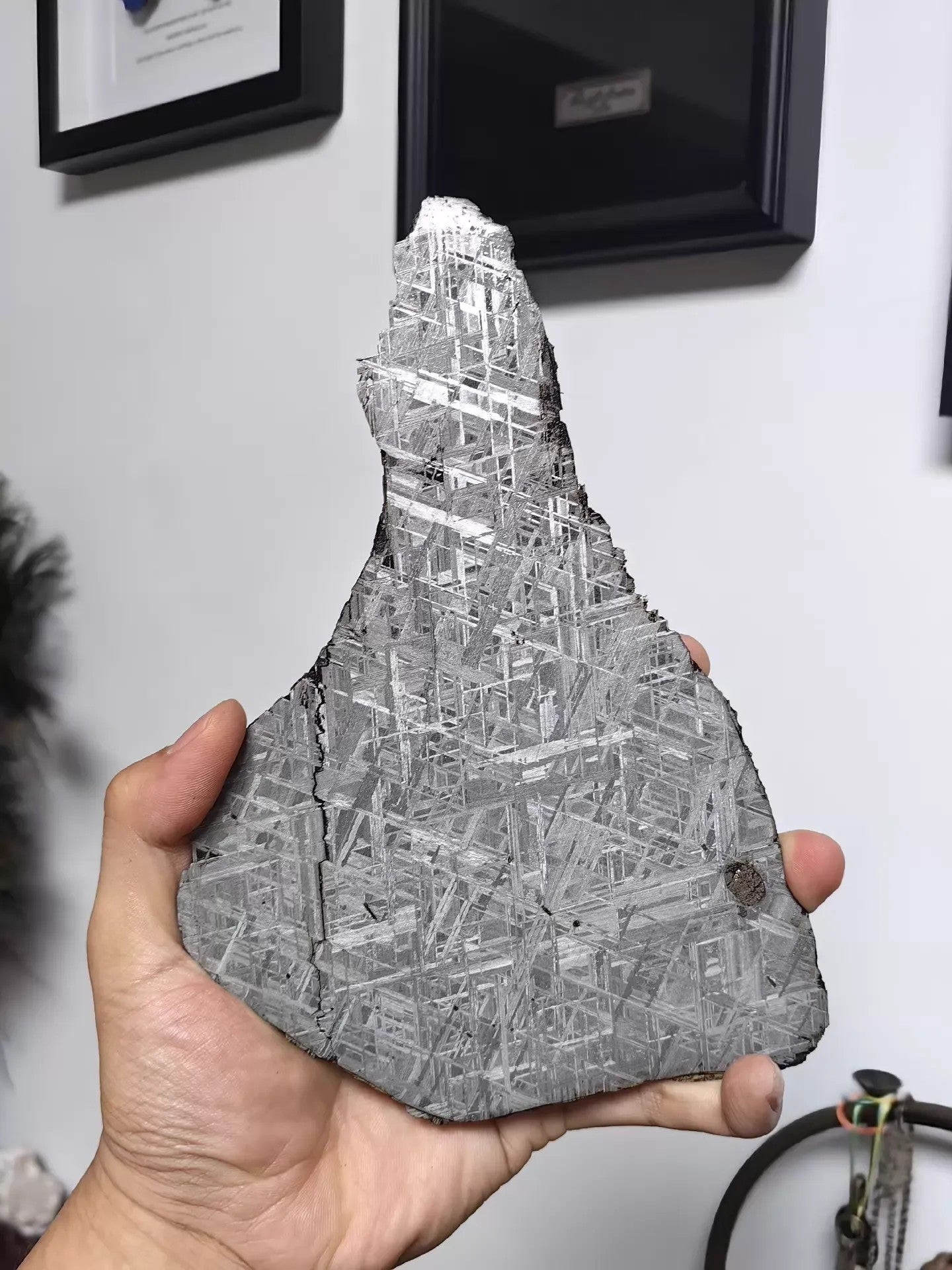 1506g ムオニオナルスタ隕石スライス、スウェーデン、ウィドマンシュテッテン模様、研磨済み鉄隕石ディスプレイ