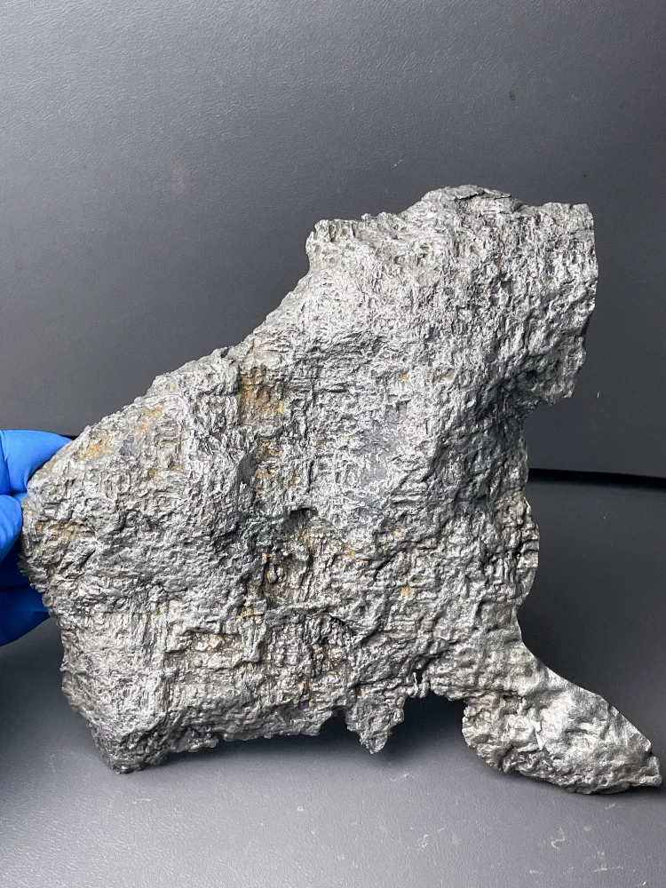 Huge Muonionalusta Meteorite End Cut Slice 1705g | Sweden Iron Nickel Meteorite | Widmanstätten Pattern Polished | Collector Specimen