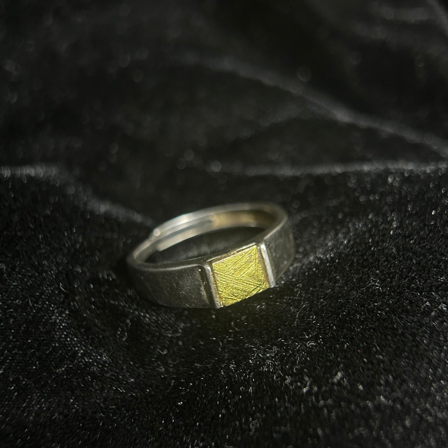 Top Muonionalusta Meteorite Ring Set | Titanium Band Set | Widmanstätten pattern Meteorite Jewelry