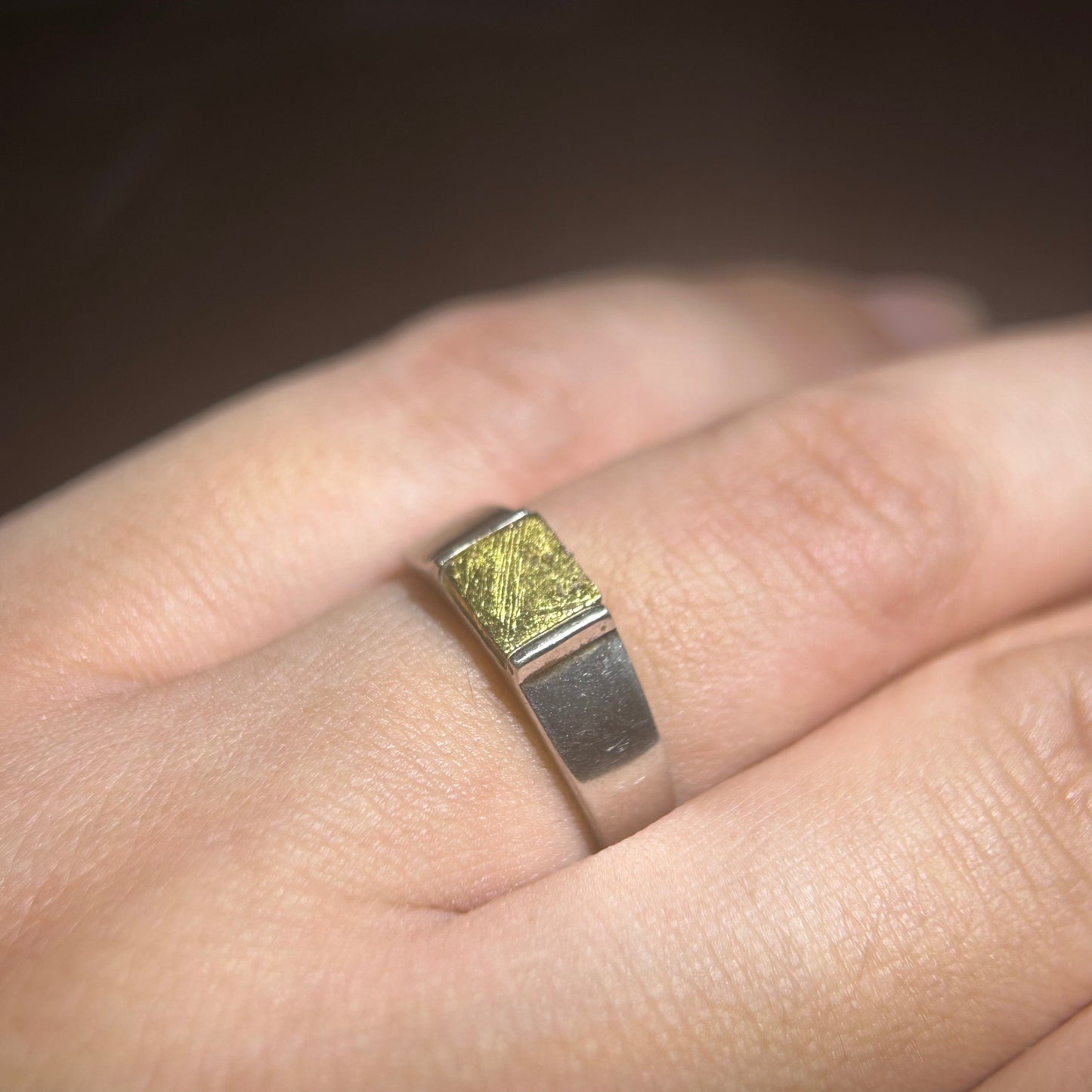 Top Muonionalusta Meteorite Ring Set | Titanium Band Set | Widmanstätten pattern Meteorite Jewelry
