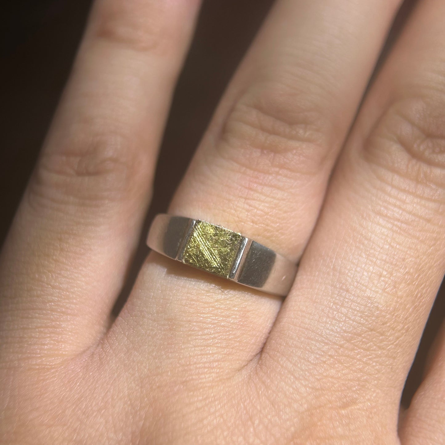 Top Muonionalusta Meteorite Ring Set | Titanium Band Set | Widmanstätten pattern Meteorite Jewelry