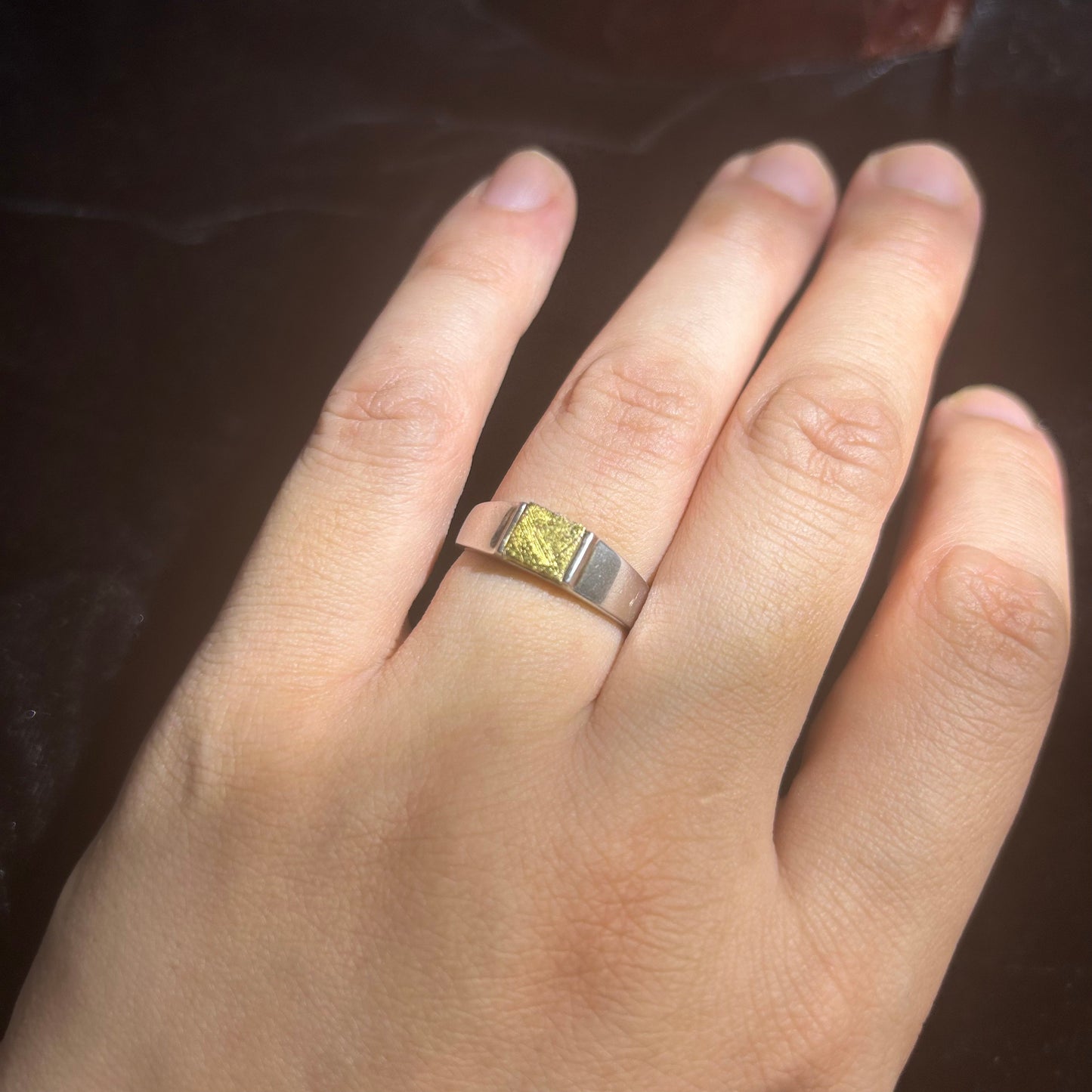 Top Muonionalusta Meteorite Ring Set | Titanium Band Set | Widmanstätten pattern Meteorite Jewelry