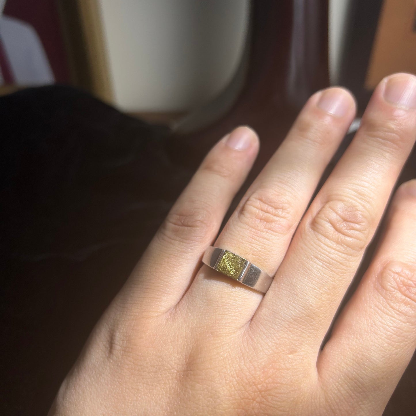 Top Muonionalusta Meteorite Ring Set | Titanium Band Set | Widmanstätten pattern Meteorite Jewelry