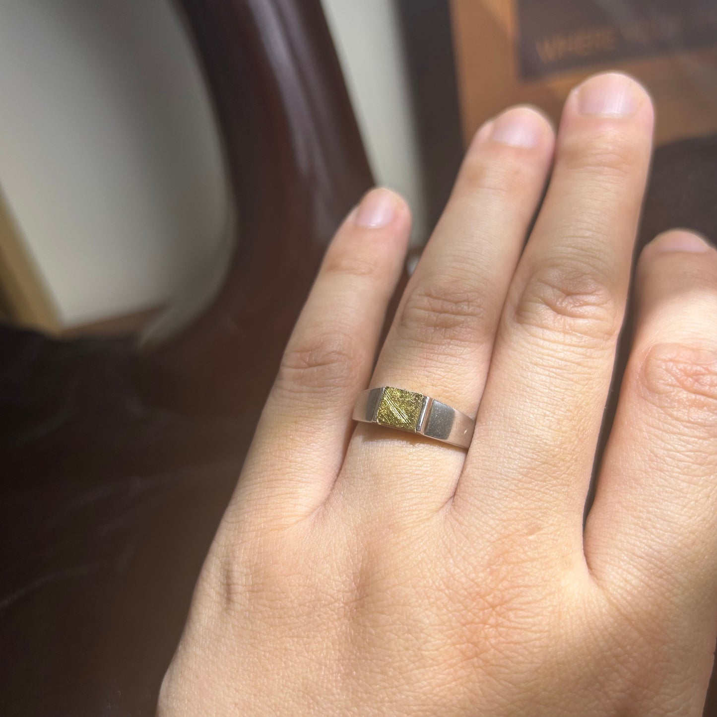 Top Muonionalusta Meteorite Ring Set | Titanium Band Set | Widmanstätten pattern Meteorite Jewelry