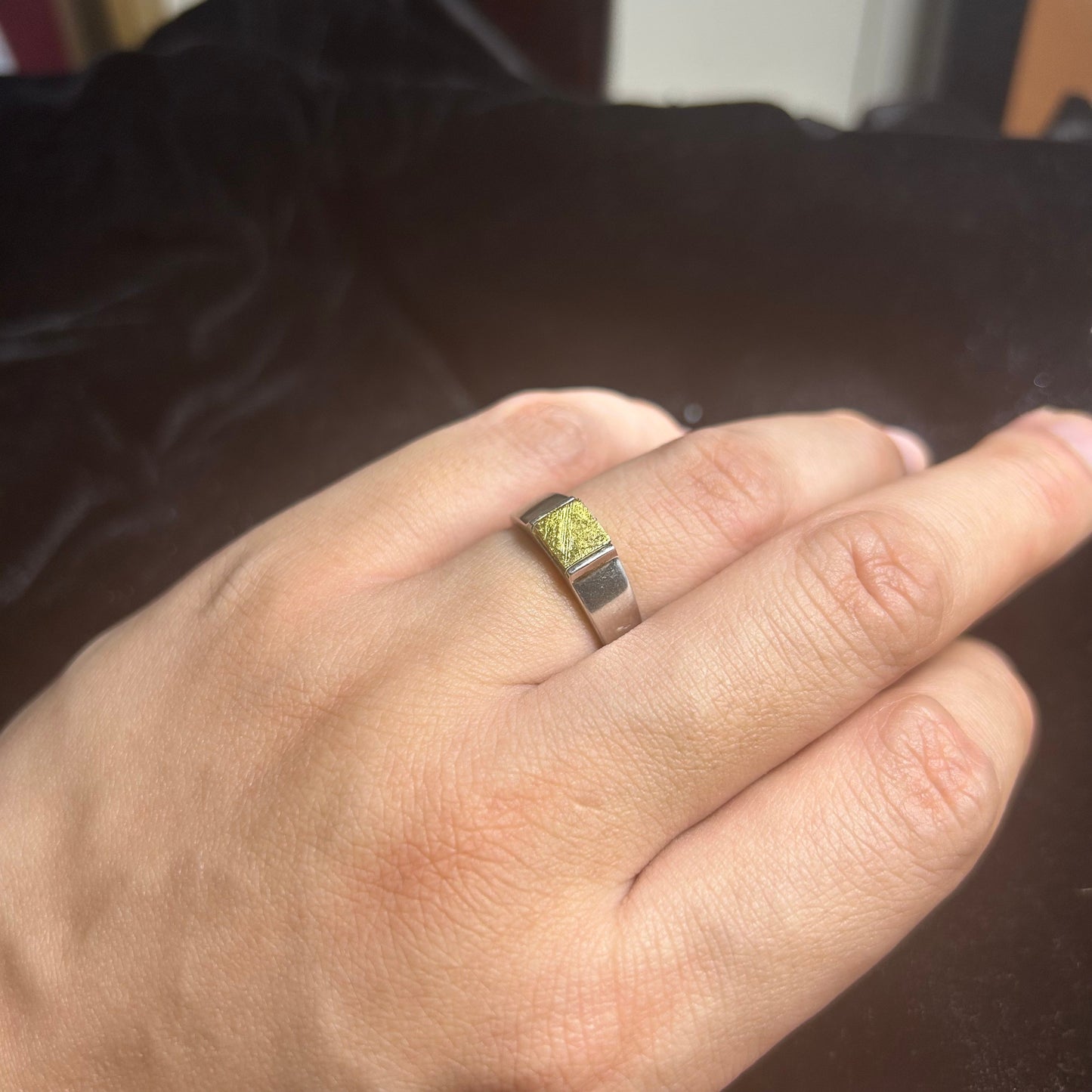 Top Muonionalusta Meteorite Ring Set | Titanium Band Set | Widmanstätten pattern Meteorite Jewelry