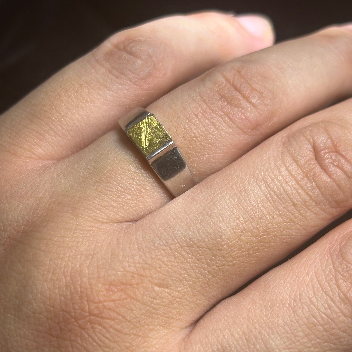 Top Muonionalusta Meteorite Ring Set | Titanium Band Set | Widmanstätten pattern Meteorite Jewelry