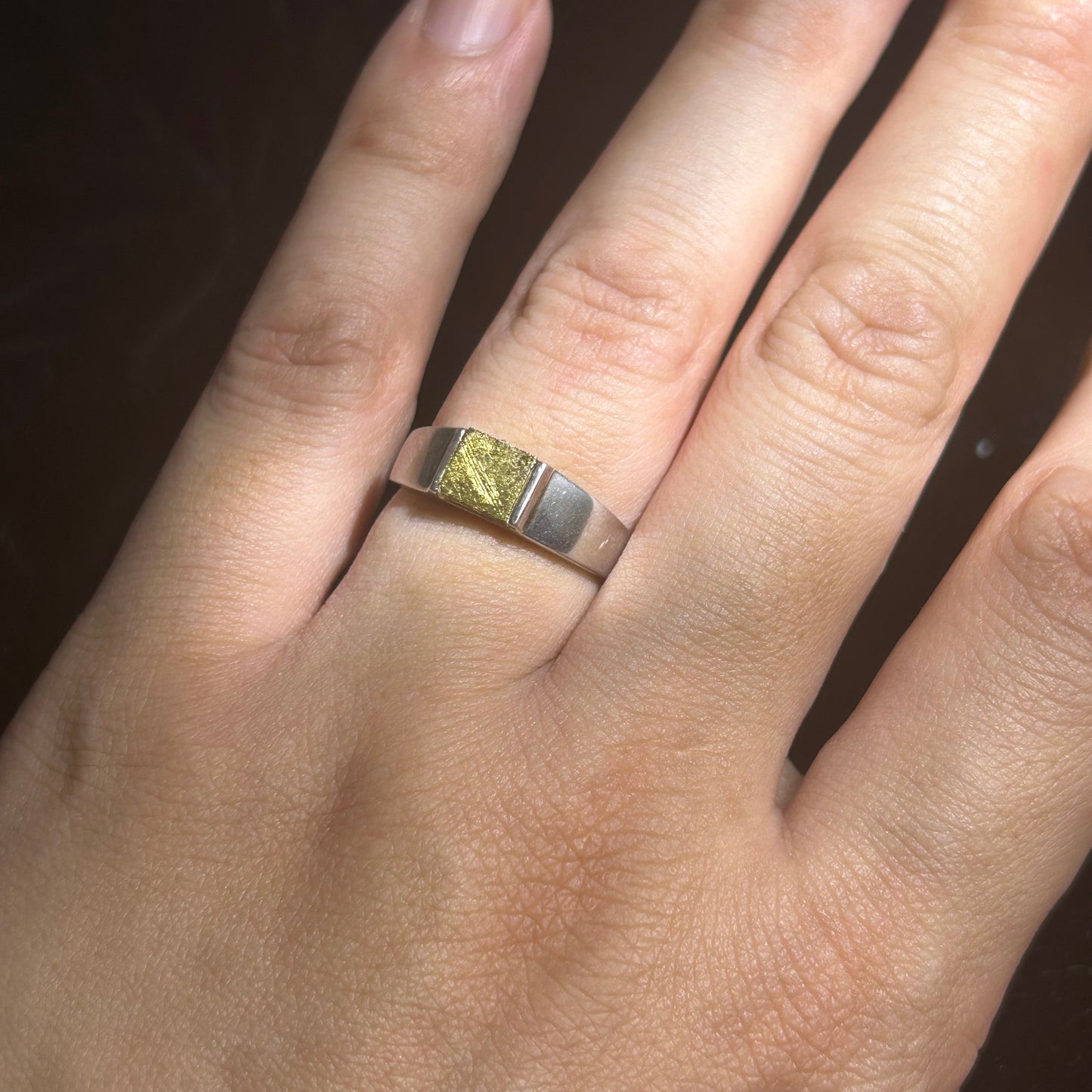 Top Muonionalusta Meteorite Ring Set | Titanium Band Set | Widmanstätten pattern Meteorite Jewelry