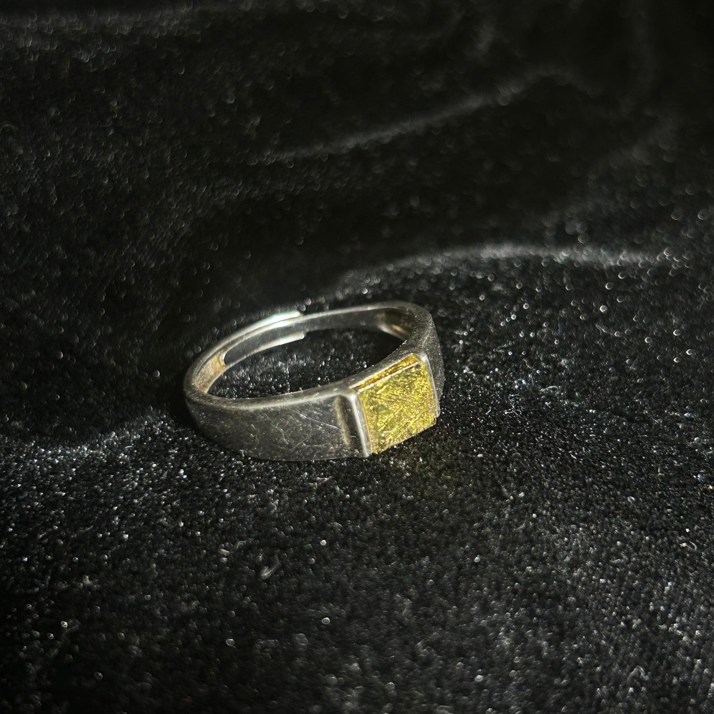 Top Muonionalusta Meteorite Ring Set | Titanium Band Set | Widmanstätten pattern Meteorite Jewelry