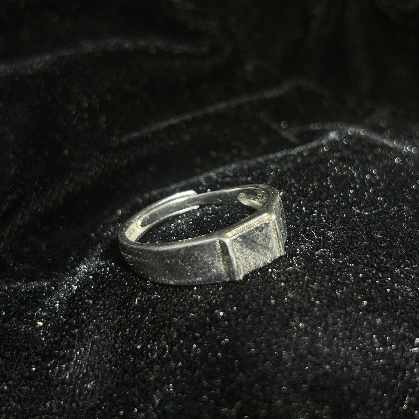 Top Muonionalusta Meteorite Ring Set | Titanium Band Set | Widmanstätten pattern Meteorite Jewelry