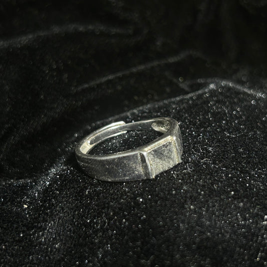 Top Muonionalusta Meteorite Ring Set | Titanium Band Set | Widmanstätten pattern Meteorite Jewelry