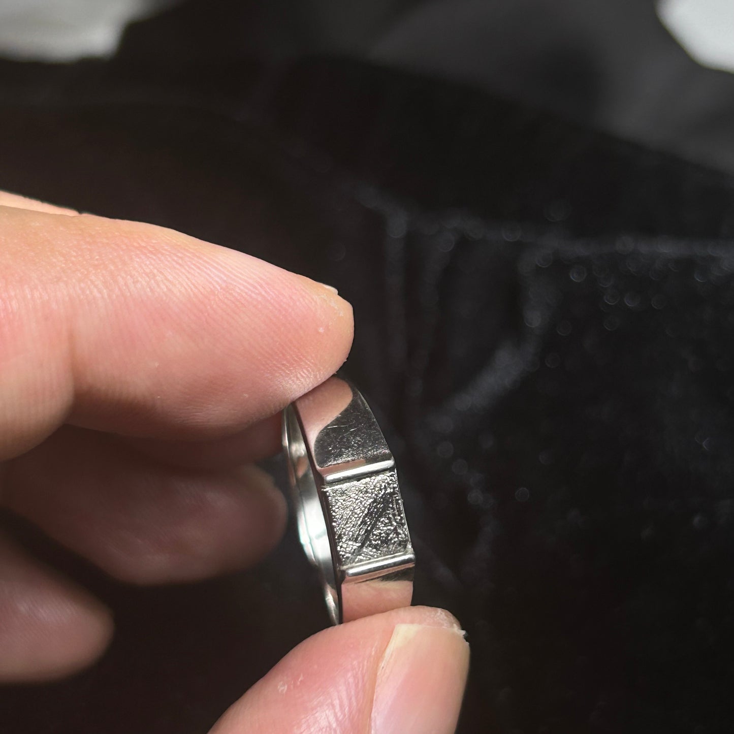 Top Muonionalusta Meteorite Ring Set | Titanium Band Set | Widmanstätten pattern Meteorite Jewelry