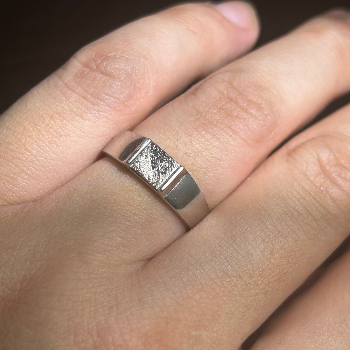 Top Muonionalusta Meteorite Ring Set | Titanium Band Set | Widmanstätten pattern Meteorite Jewelry