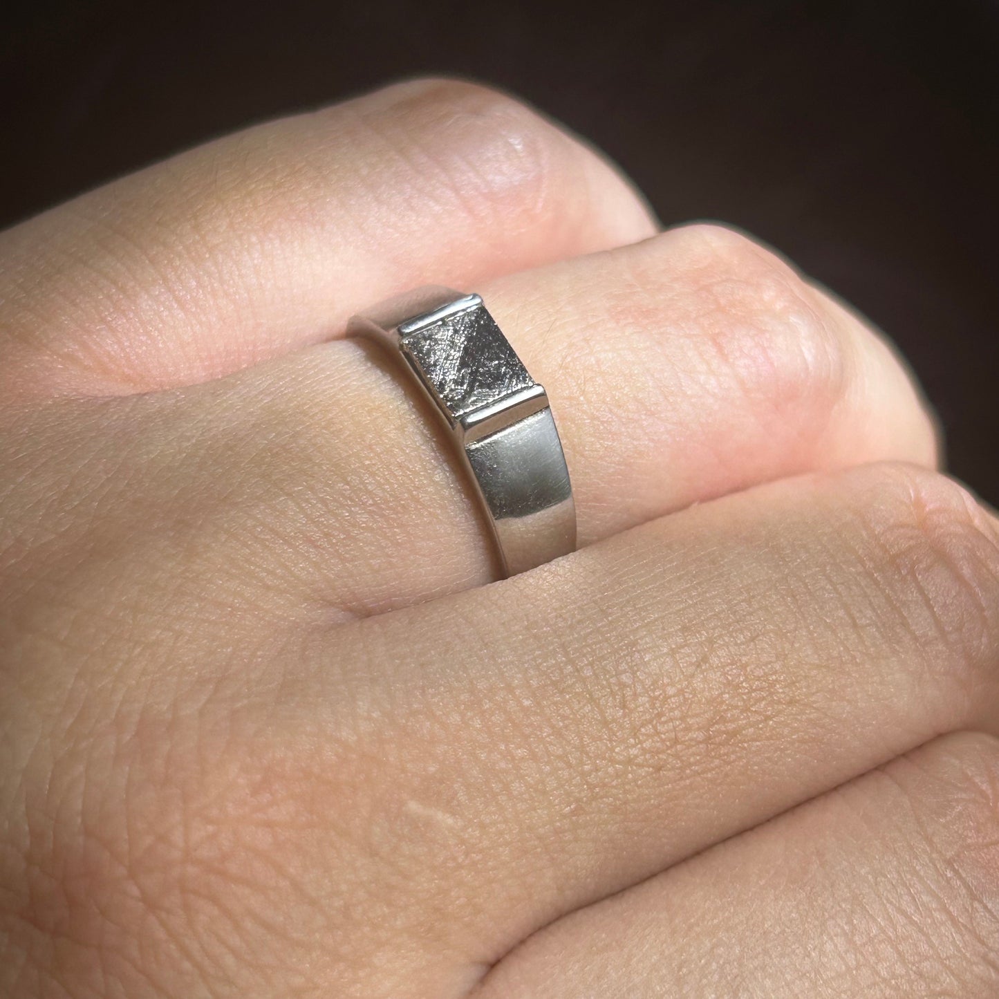 Top Muonionalusta Meteorite Ring Set | Titanium Band Set | Widmanstätten pattern Meteorite Jewelry