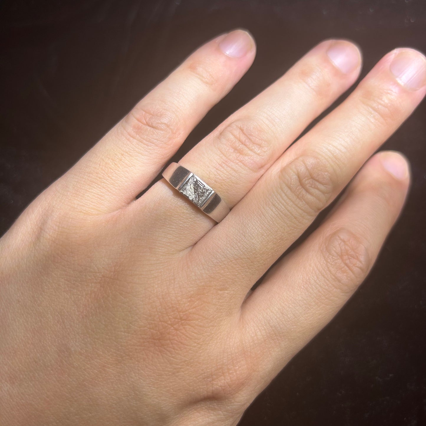 Top Muonionalusta Meteorite Ring Set | Titanium Band Set | Widmanstätten pattern Meteorite Jewelry