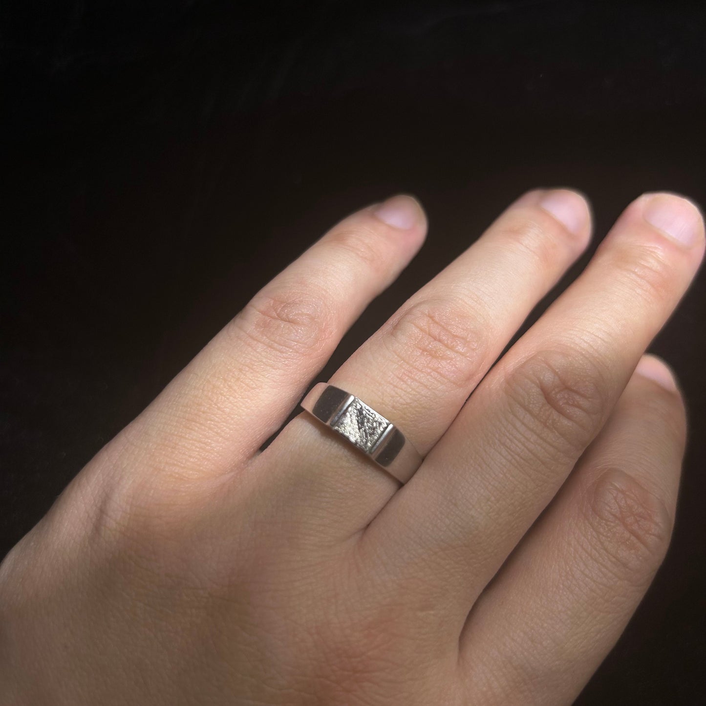 Top Muonionalusta Meteorite Ring Set | Titanium Band Set | Widmanstätten pattern Meteorite Jewelry