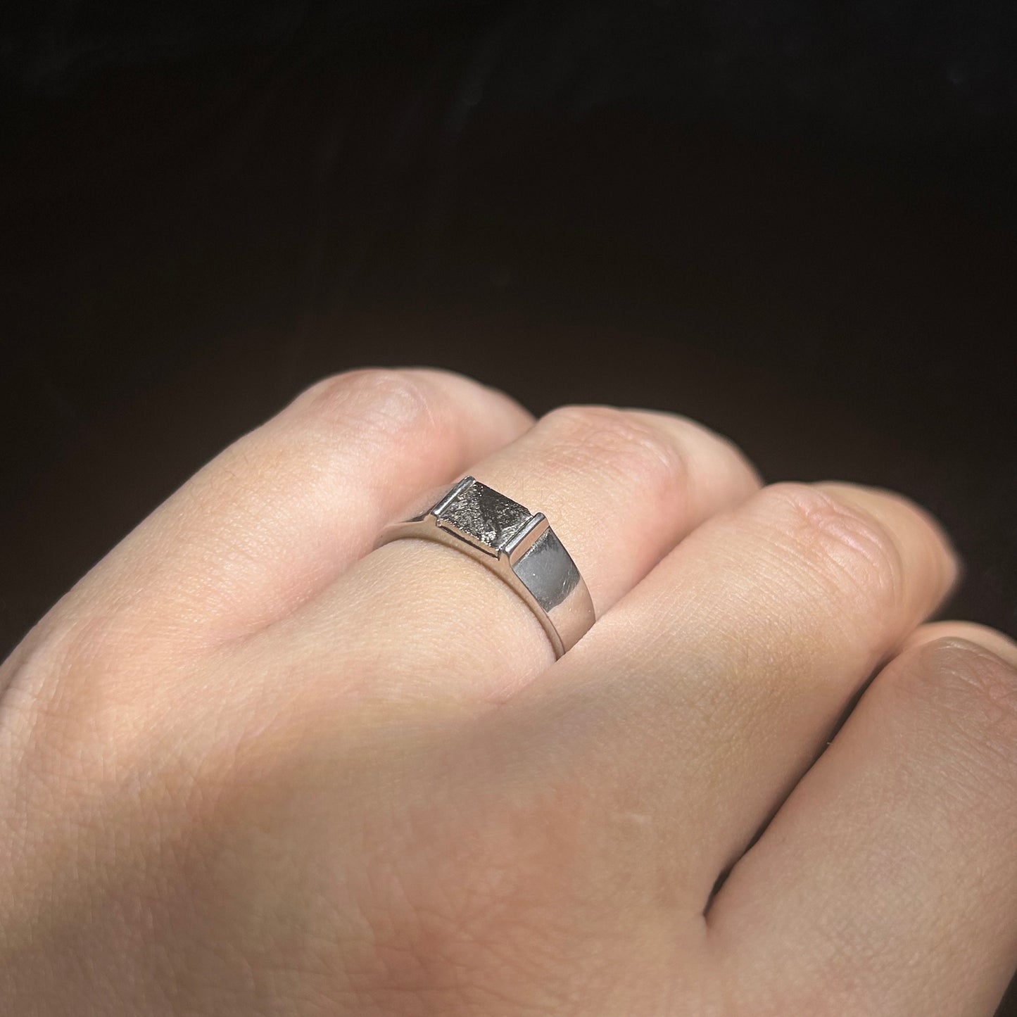 Top Muonionalusta Meteorite Ring Set | Titanium Band Set | Widmanstätten pattern Meteorite Jewelry