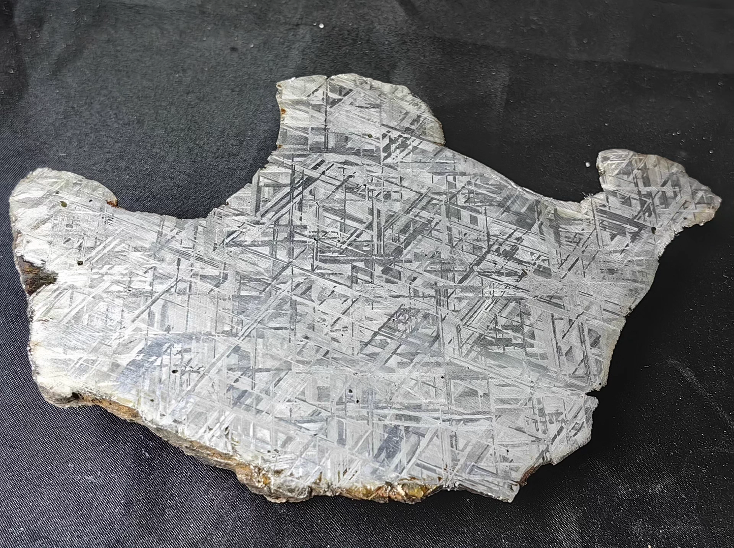 Swedish Muonionalusta Iron Meteorite Slice — No Cracks — Natural Fusion Crust — Meditative Collector Piece