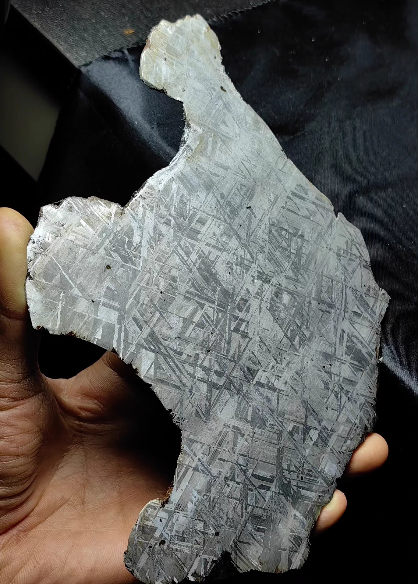 Swedish Muonionalusta Iron Meteorite Slice — No Cracks — Natural Fusion Crust — Meditative Collector Piece