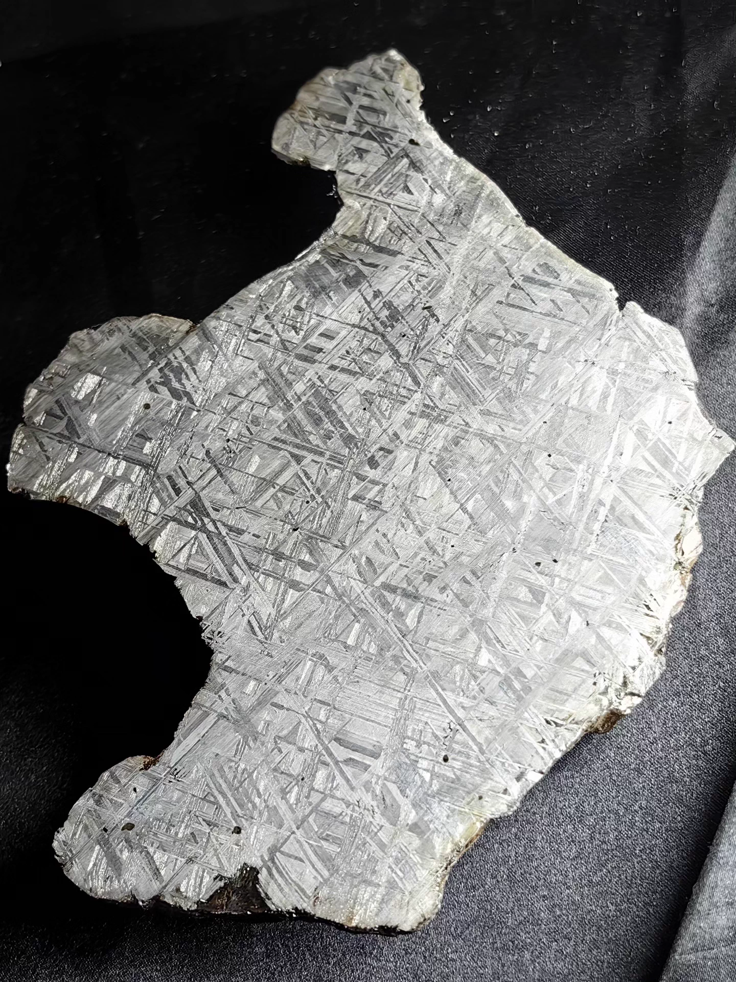 Swedish Muonionalusta Iron Meteorite Slice — No Cracks — Natural Fusion Crust — Meditative Collector Piece