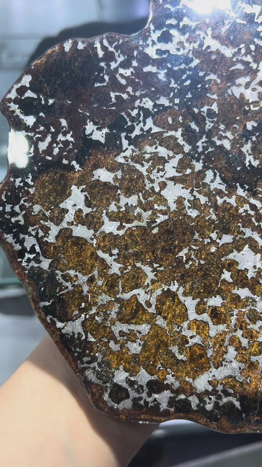 Eagle Station PMG Pallasite Specimen, 392g | Rare low market inventory