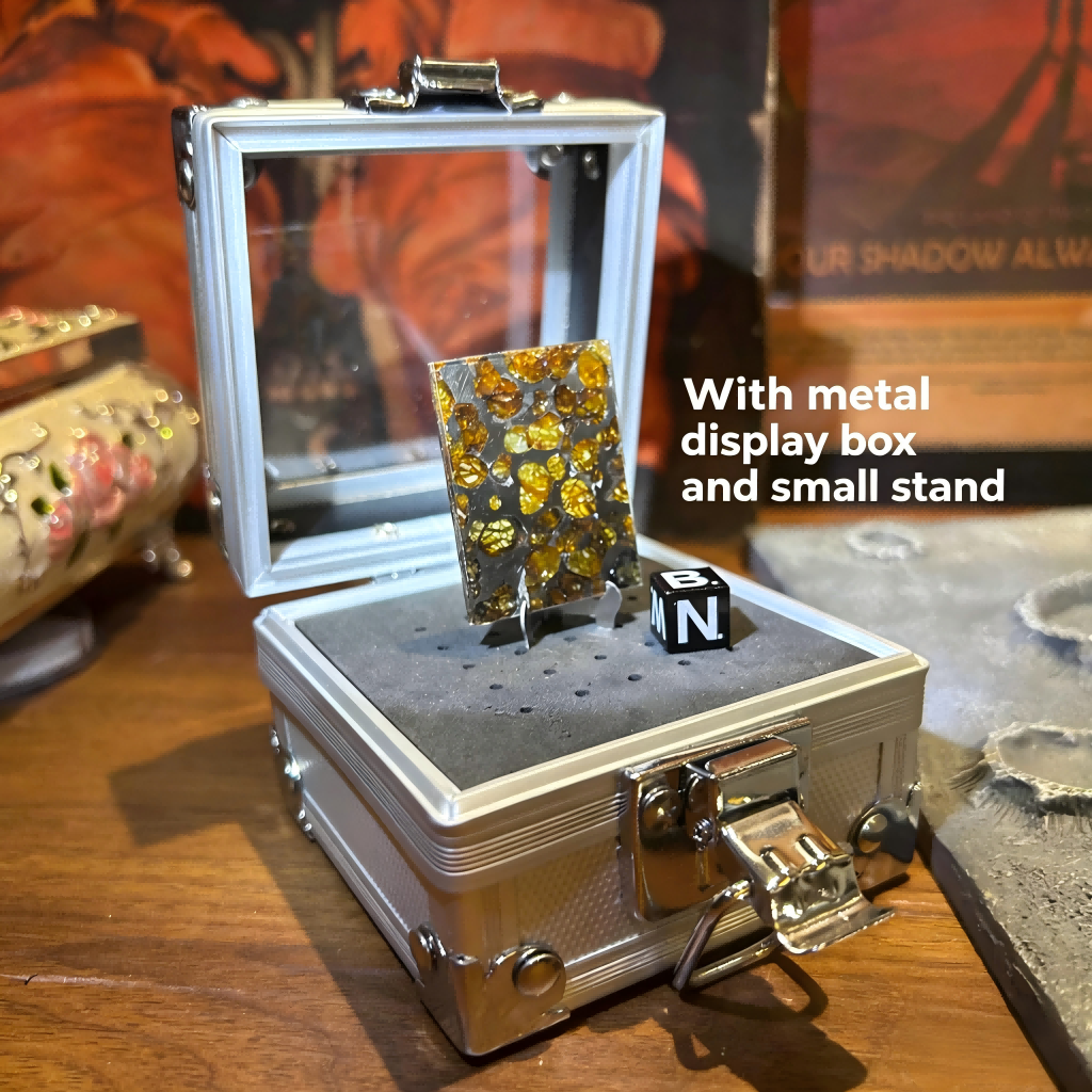 Sericho Pallasite/Meteorite Pendant/Pallasite Pendant/Pallasite/Meteorite Accessories